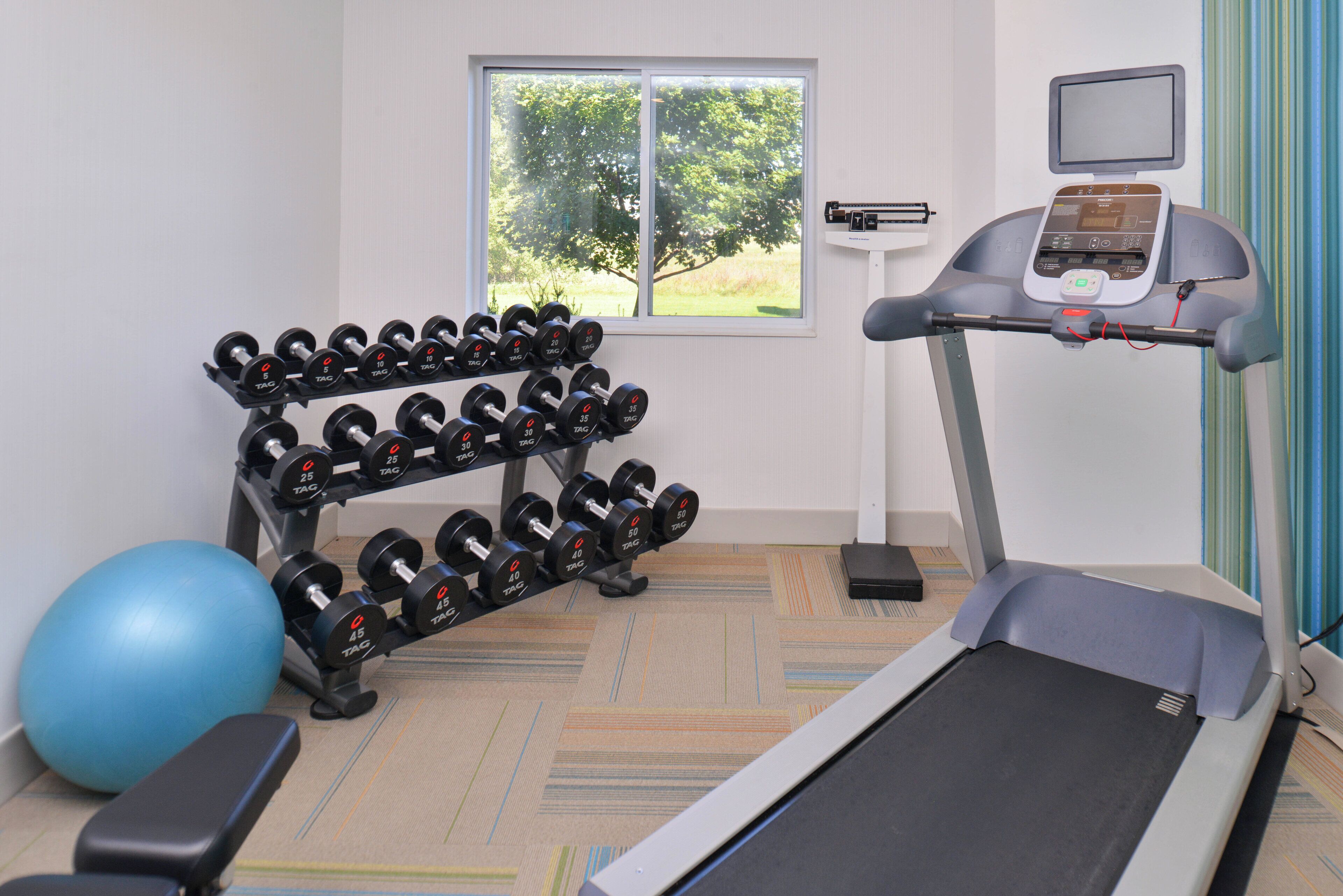 A gym with a treadmill, dumbbells, and exercise balls.