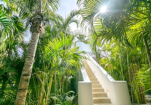A staircase surrounded by lush greenery, leading upwards.