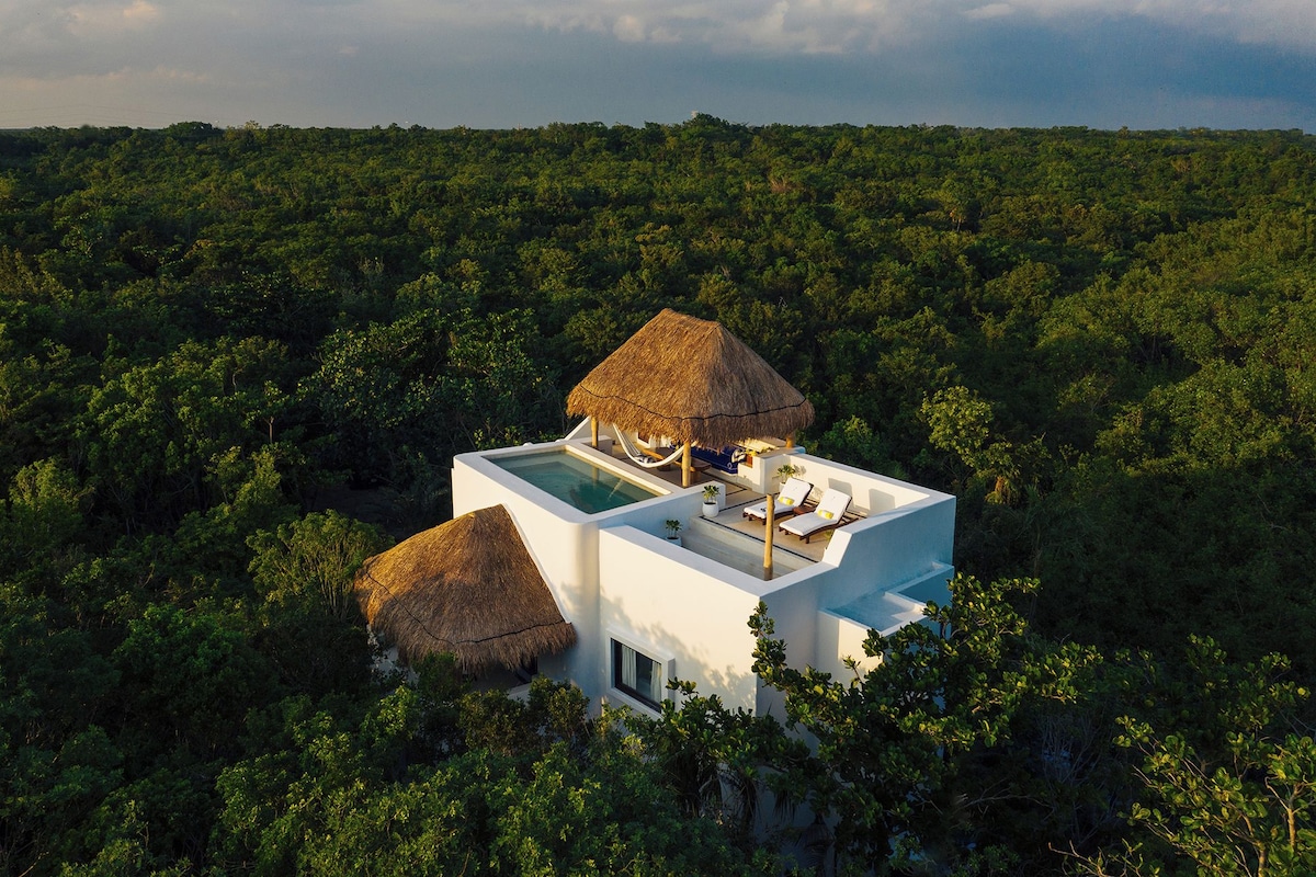 A modern villa with a pool, thatched-roof structures, and lush surrounding vegetation.