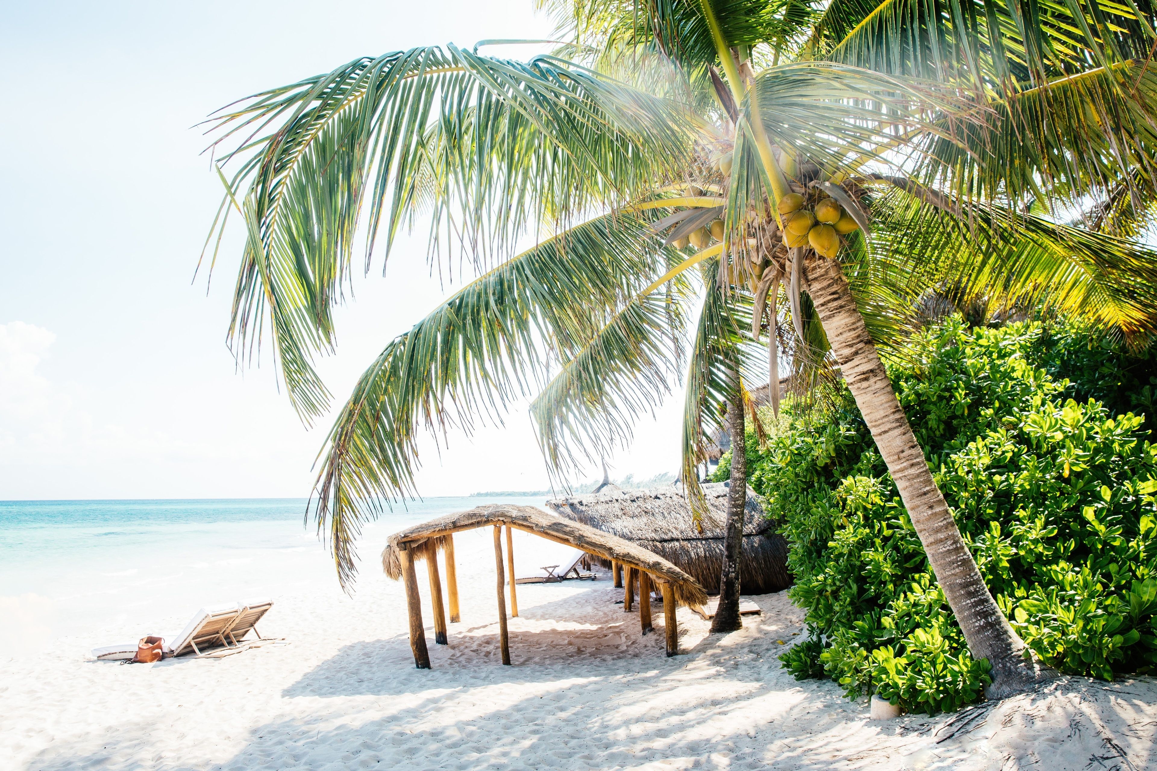 On the beach, white sand, free beach cabanas, sun loungers