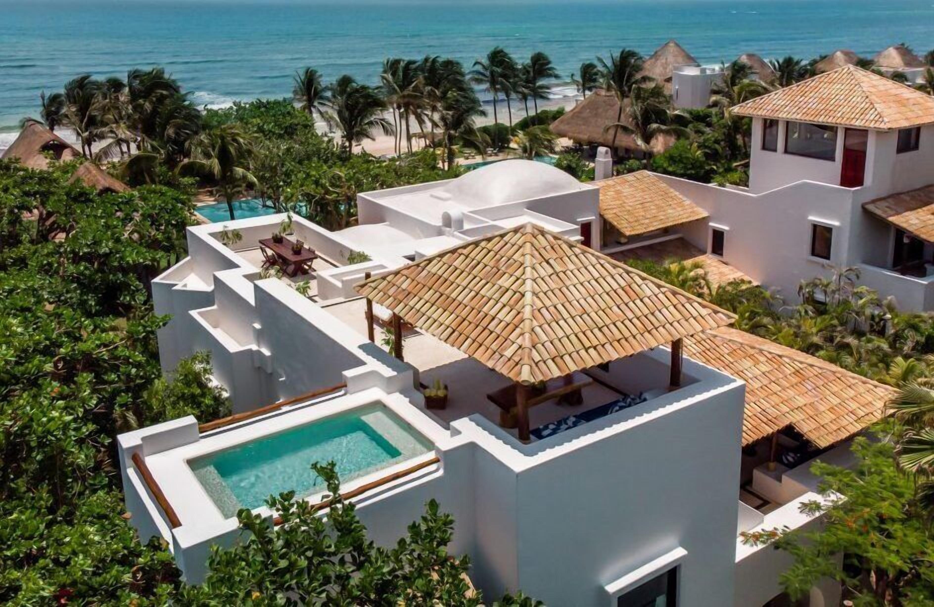 Suite (The Esencia) | Sábanas de algodón egipcio, ropa de cama de alta calidad y edredón 