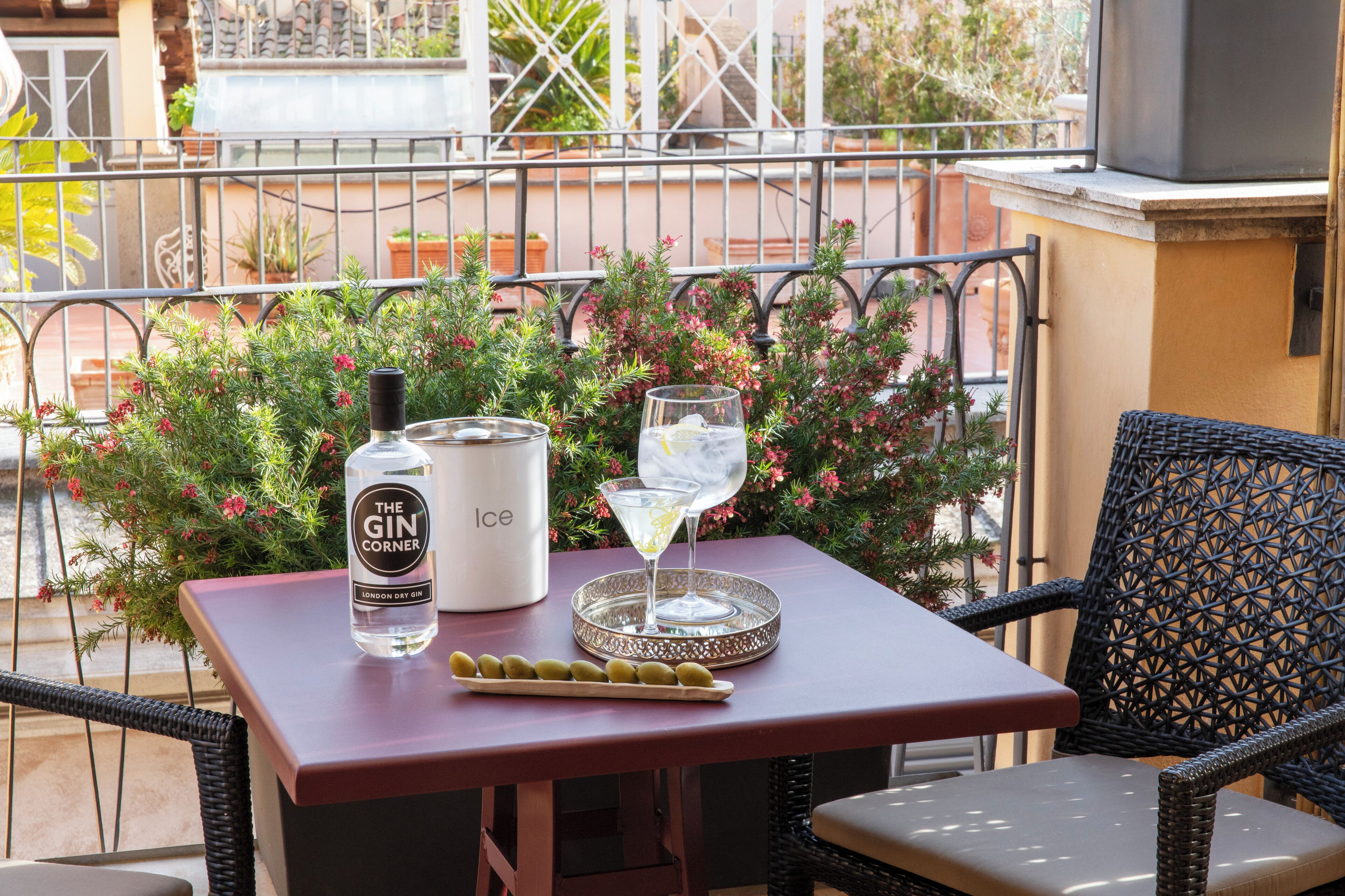 Una mesa con una botella de ginebra, un vaso de agua y un plato de aceitunas en un balcón con barandilla y plantas en macetas.
