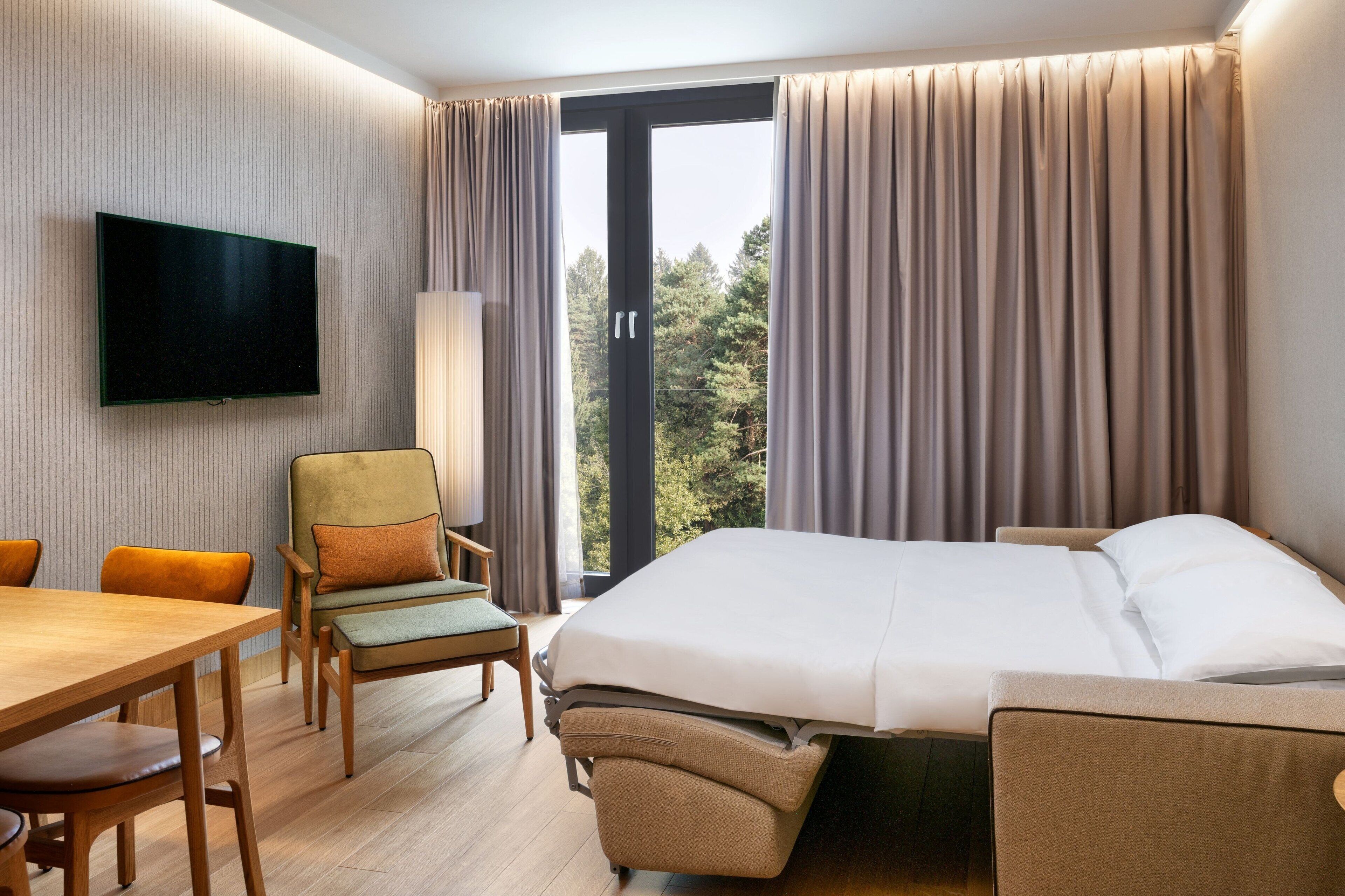 business suite, 1 bedroom, non smoking | view from room