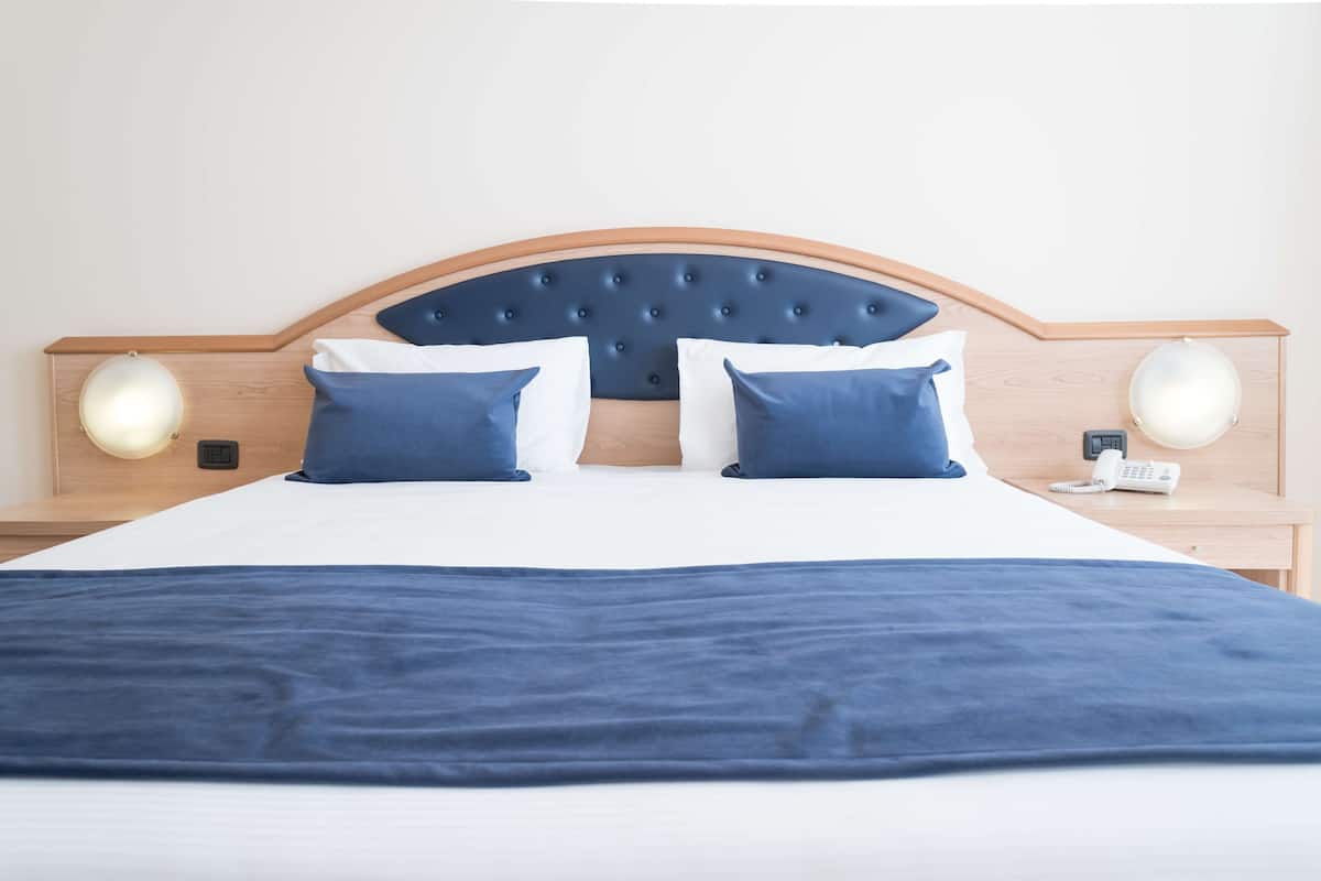 standard room, 1 queen bed (converts to 2 twin beds) | down duvets, in-room safe, desk, laptop workspace