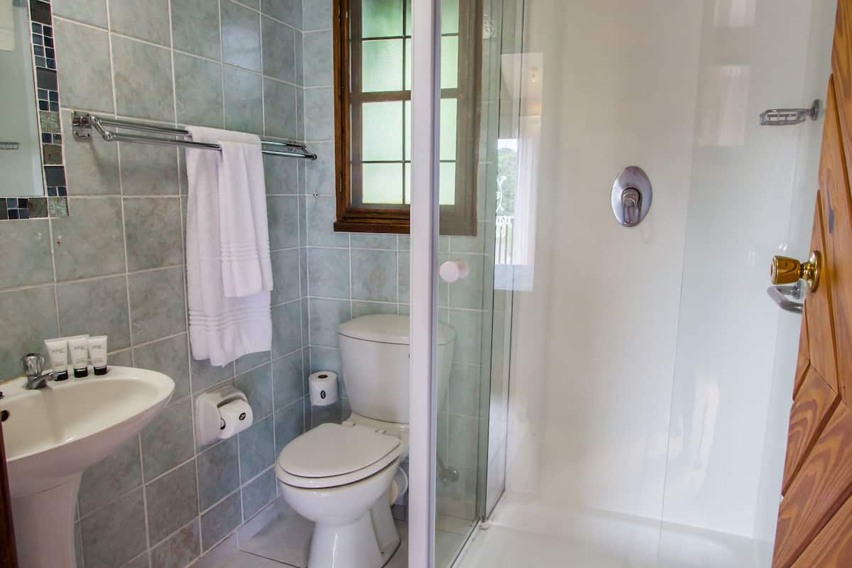 chalet, 2 double beds, lake view | bathroom | shower, free toiletries, hair dryer, towels