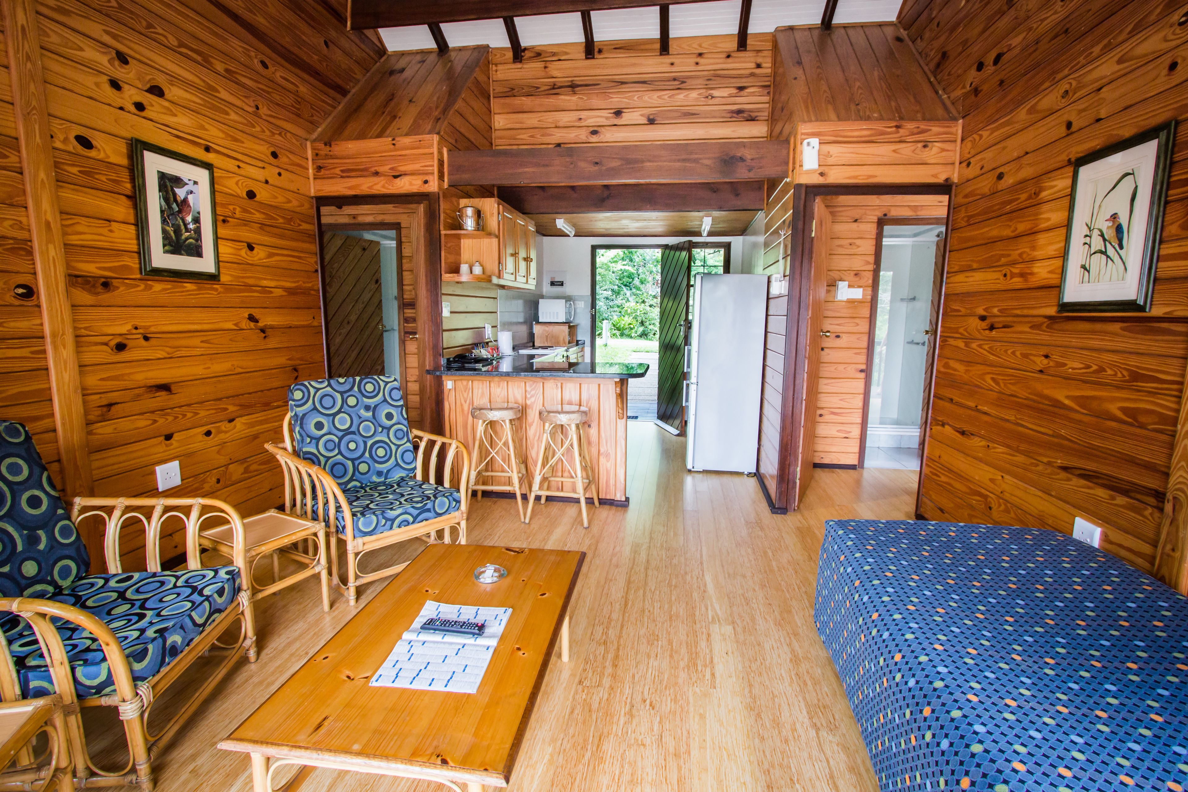 74-inch tv with satellite channels