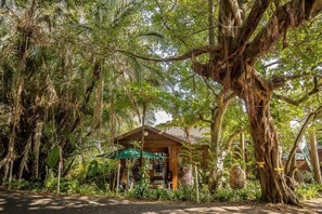 Daily full breakfast (ZAR 137 per person)