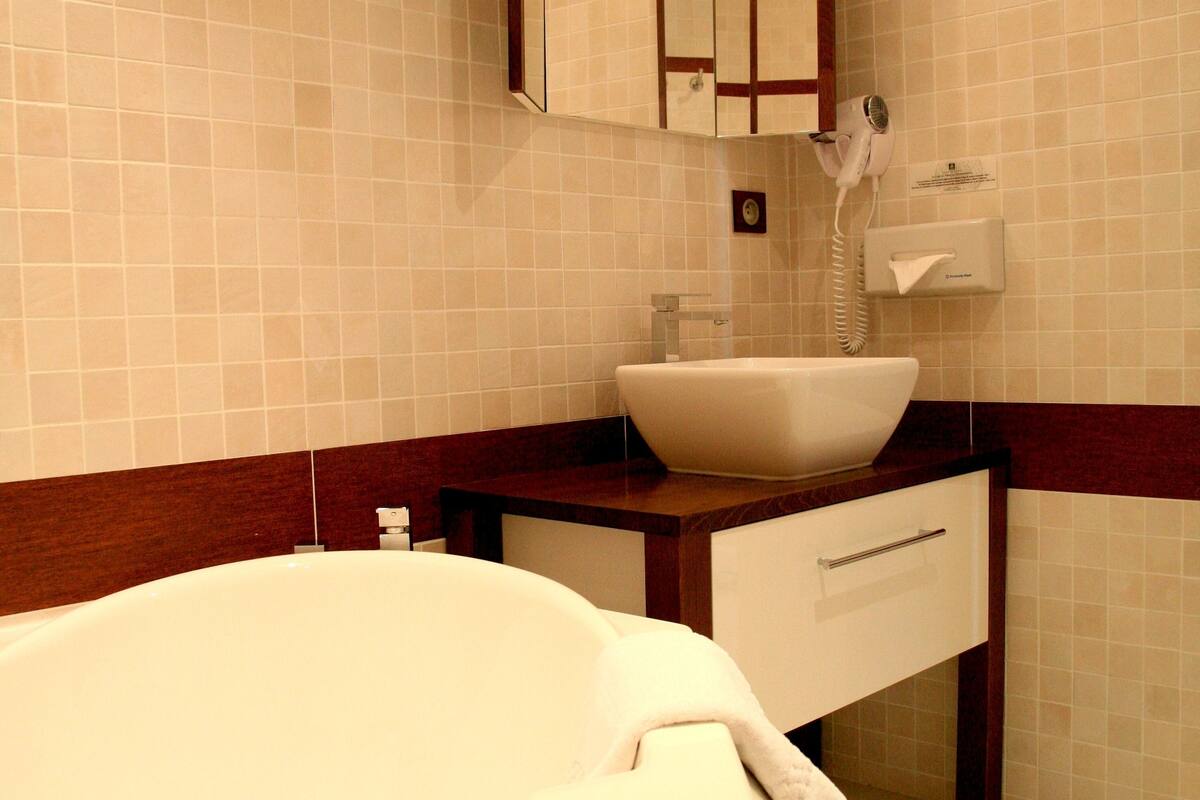 free toiletries, hair dryer, towels