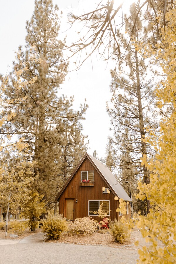 A wooden cabin with a sloped roof, surrounded by tall trees and a gravel driveway.