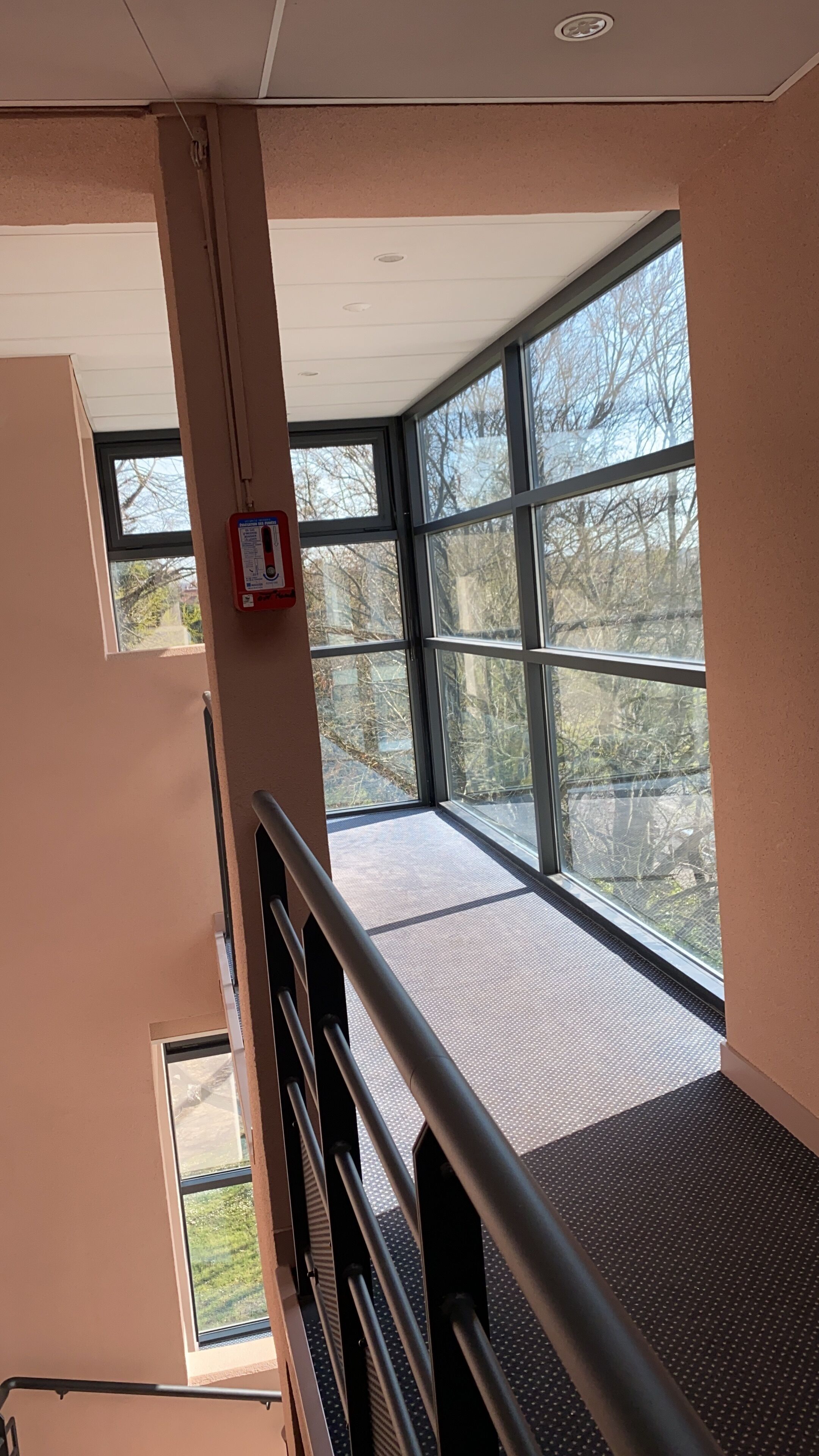 handrails in stairways