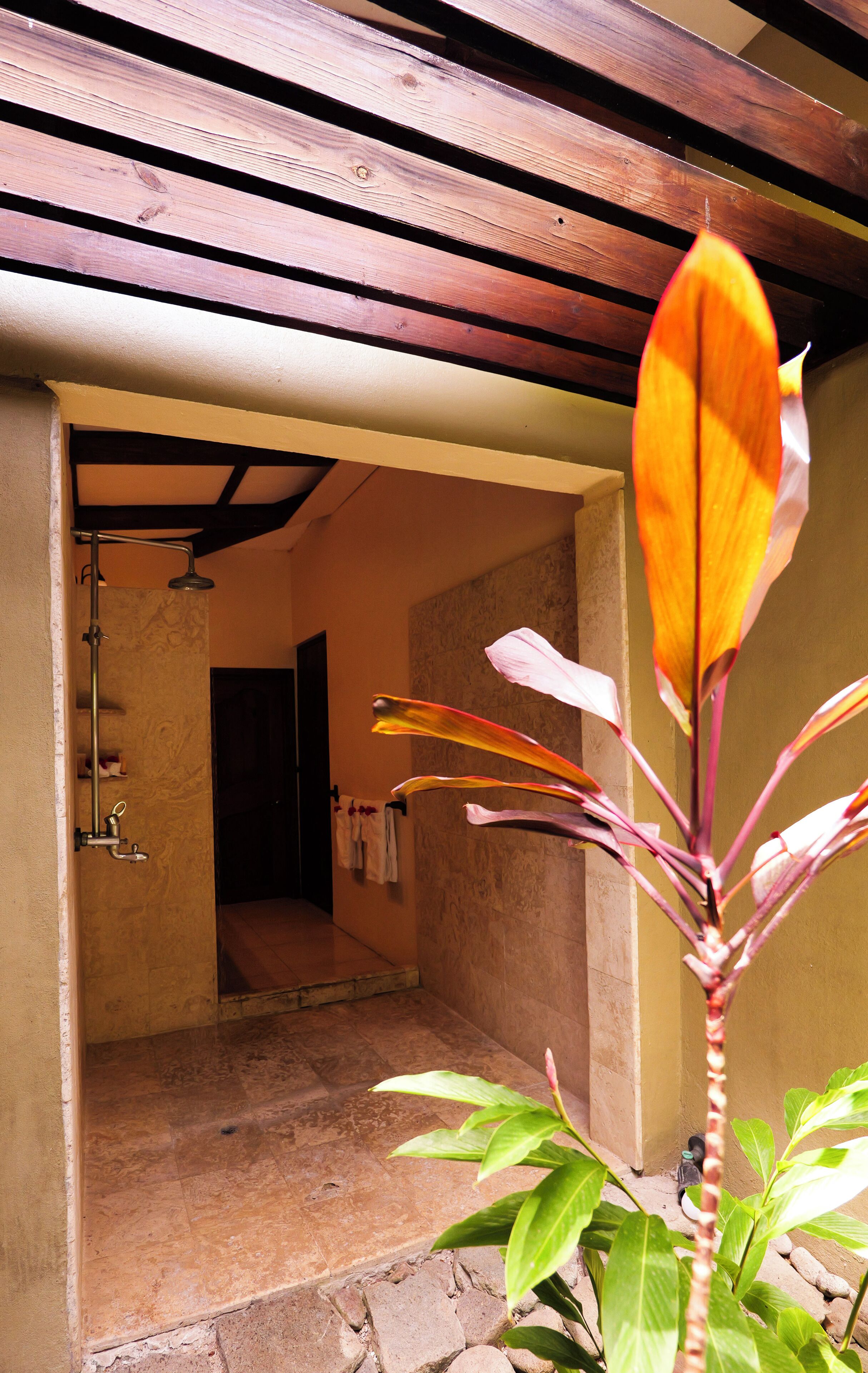 A covered outdoor area with a shower, a tiled floor, and a plant with large leaves.