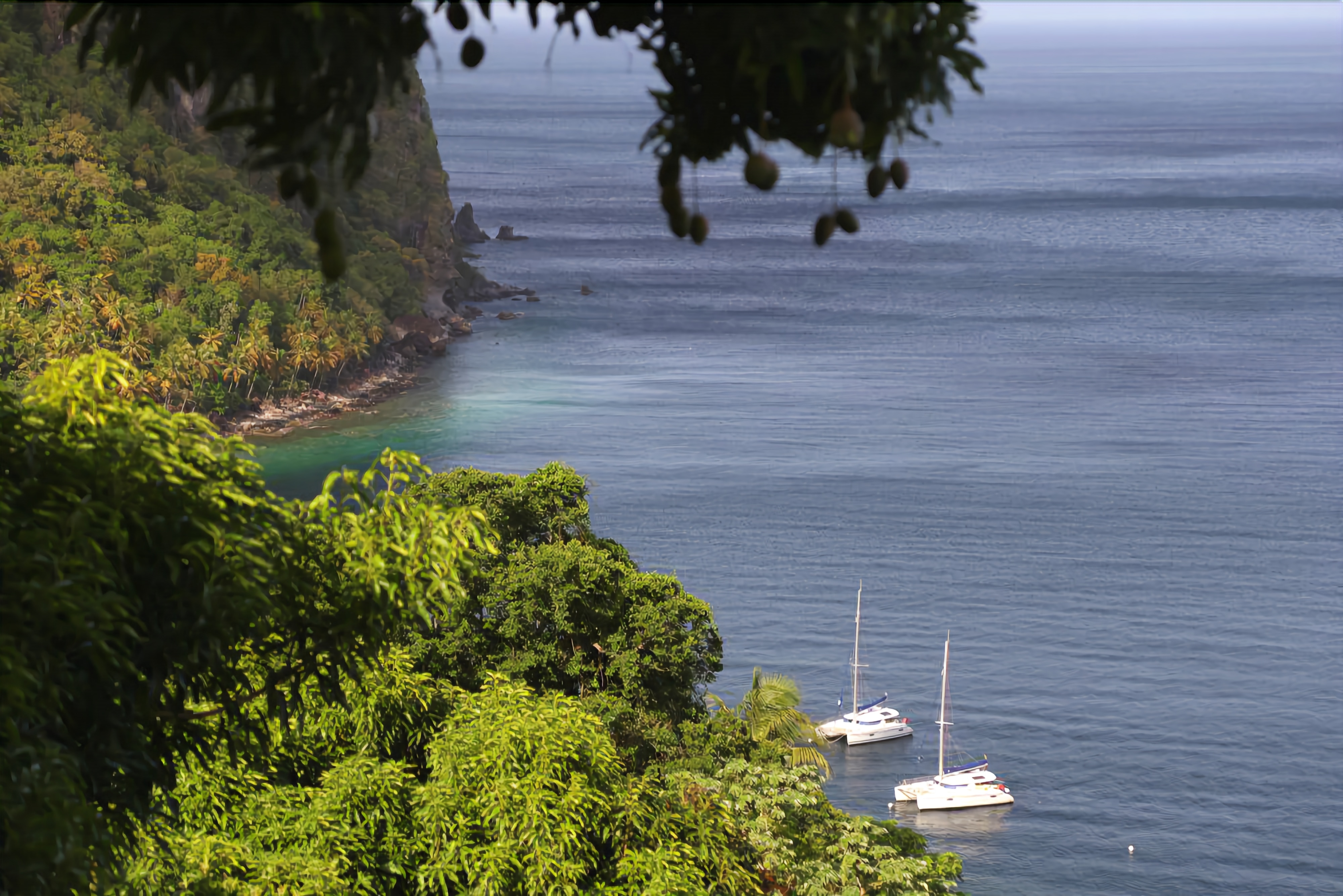 A coastal view with two sailboats anchored near a cliff with dense greenery.