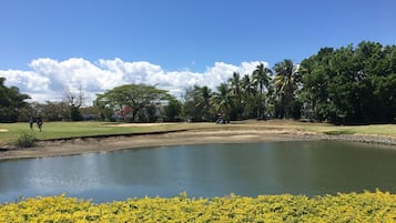 A golf course with a pond, palm trees, and a clear sky.