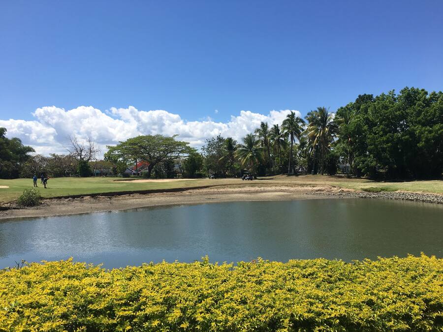 A golf course with a pond, palm trees, and a clear sky.