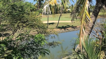 Un jardín tropical con un estanque, palmeras y una gran variedad de follaje.