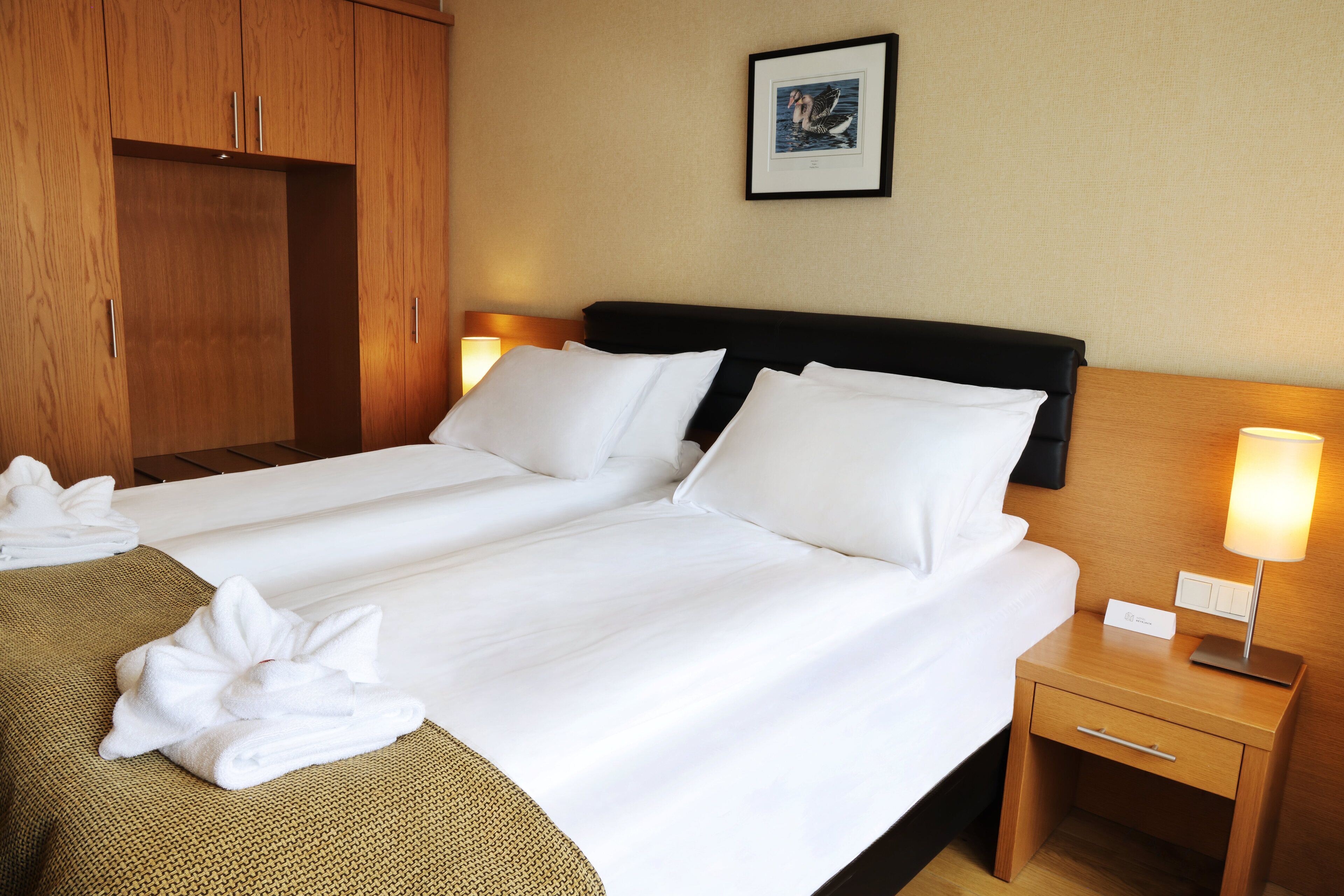 standard double room | 1 bedroom, hypo-allergenic bedding, in-room safe, blackout curtains