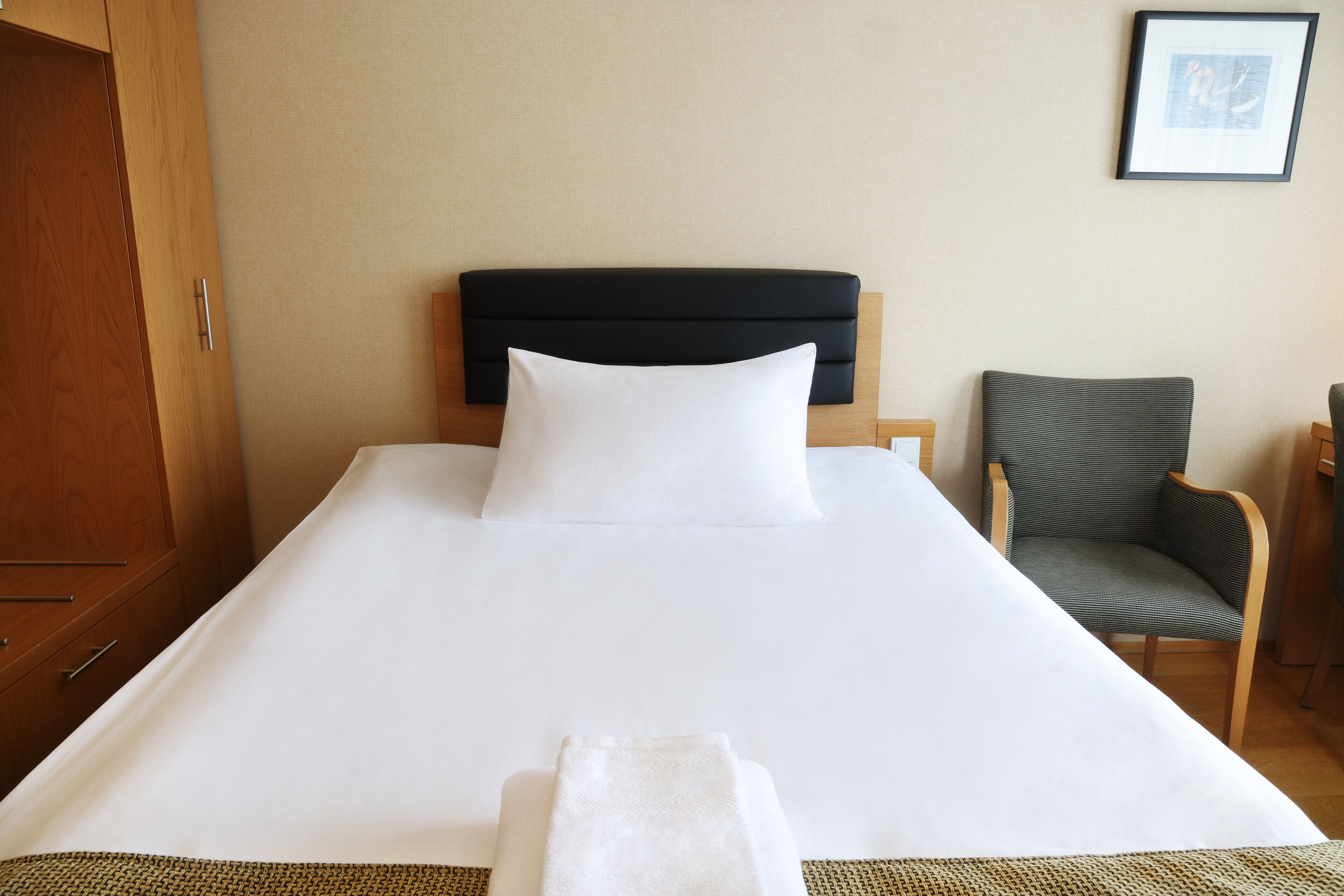 single room | 1 bedroom, hypo-allergenic bedding, in-room safe, blackout curtains