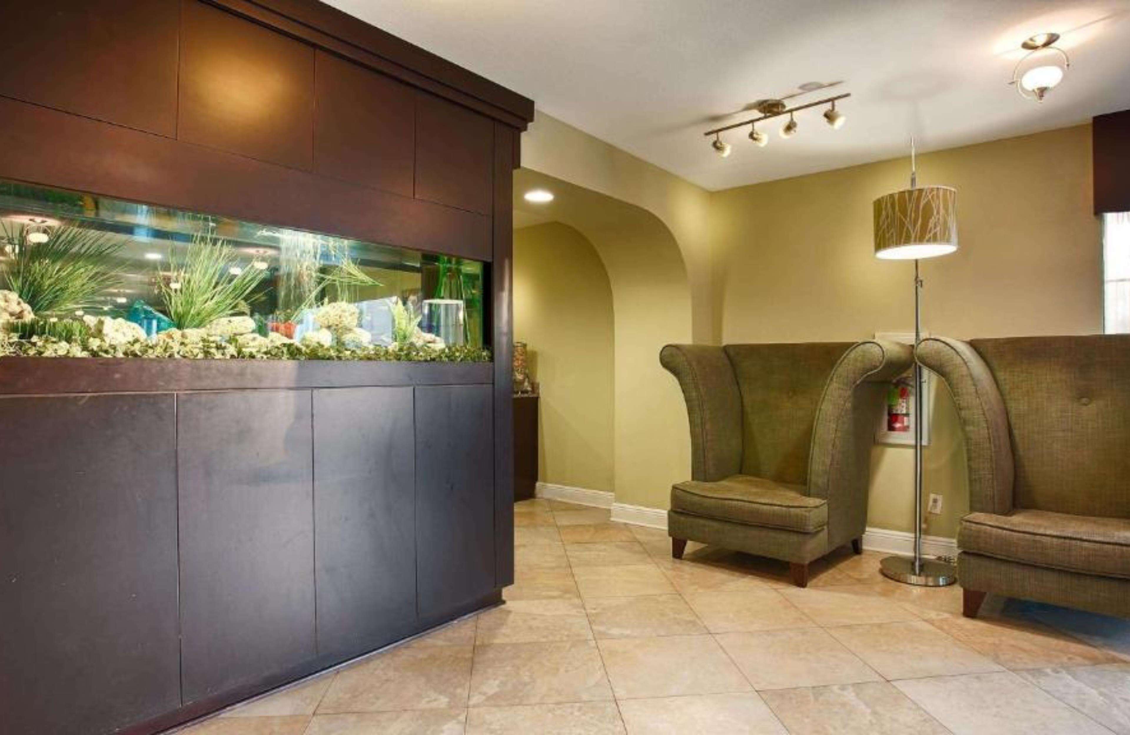 Zona de recepción con un mostrador de madera oscura, un acuario, dos sillones tapizados, una lámpara de pie y suelo de baldosas.
