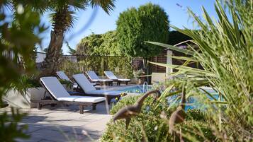 A poolside area with lounge chairs and a palm tree.