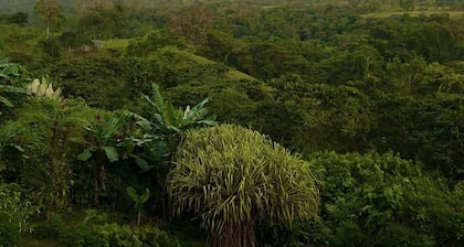 Lost Iguana Resort and Spa