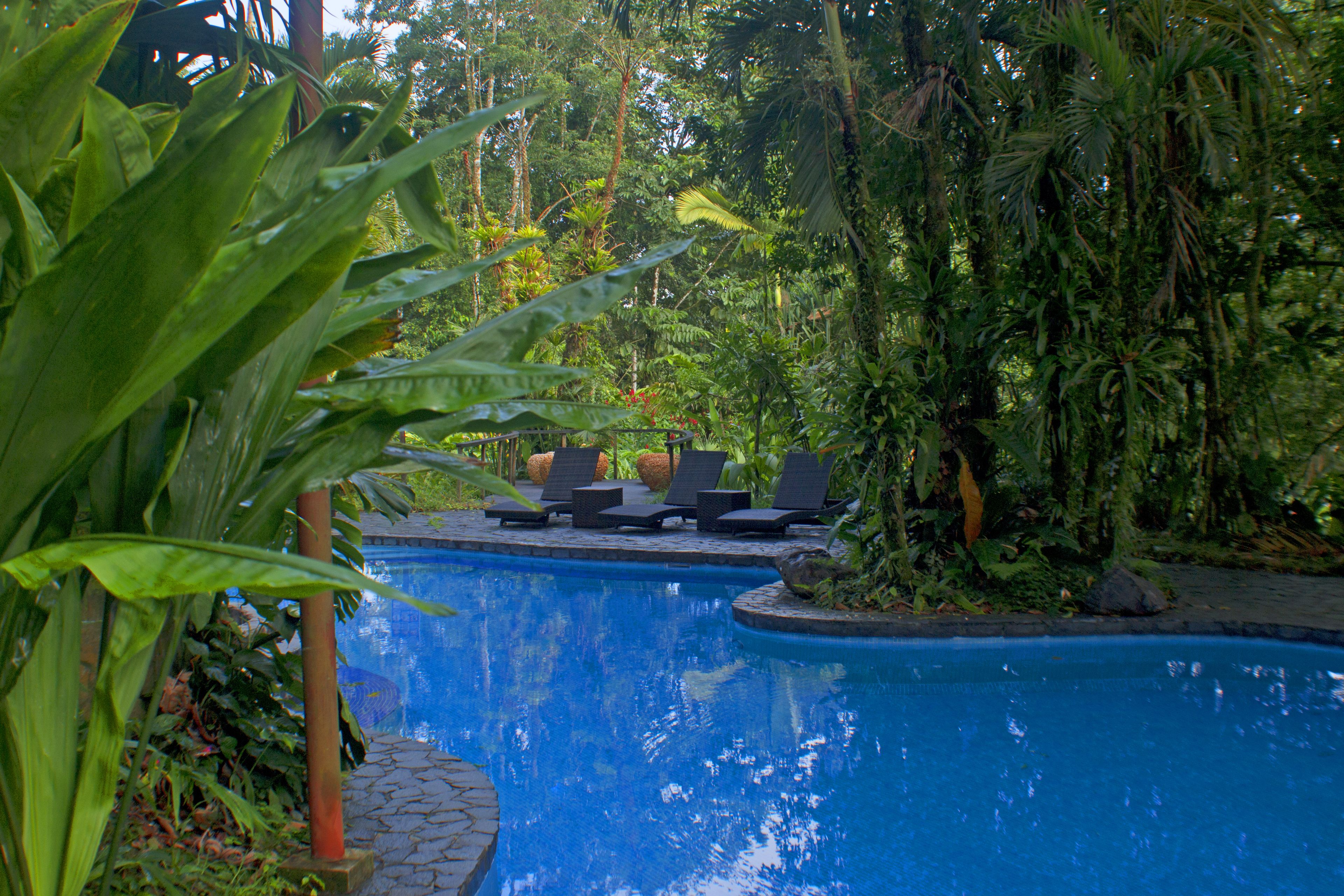 2 outdoor pools, a heated pool, pool loungers