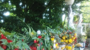Un jardín con diversas plantas y flores, incluyendo flores rojas y amarillas, y una balaustrada blanca.