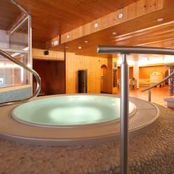 Sauna, hot tub, steam room, Turkish bath/hammam, body treatments