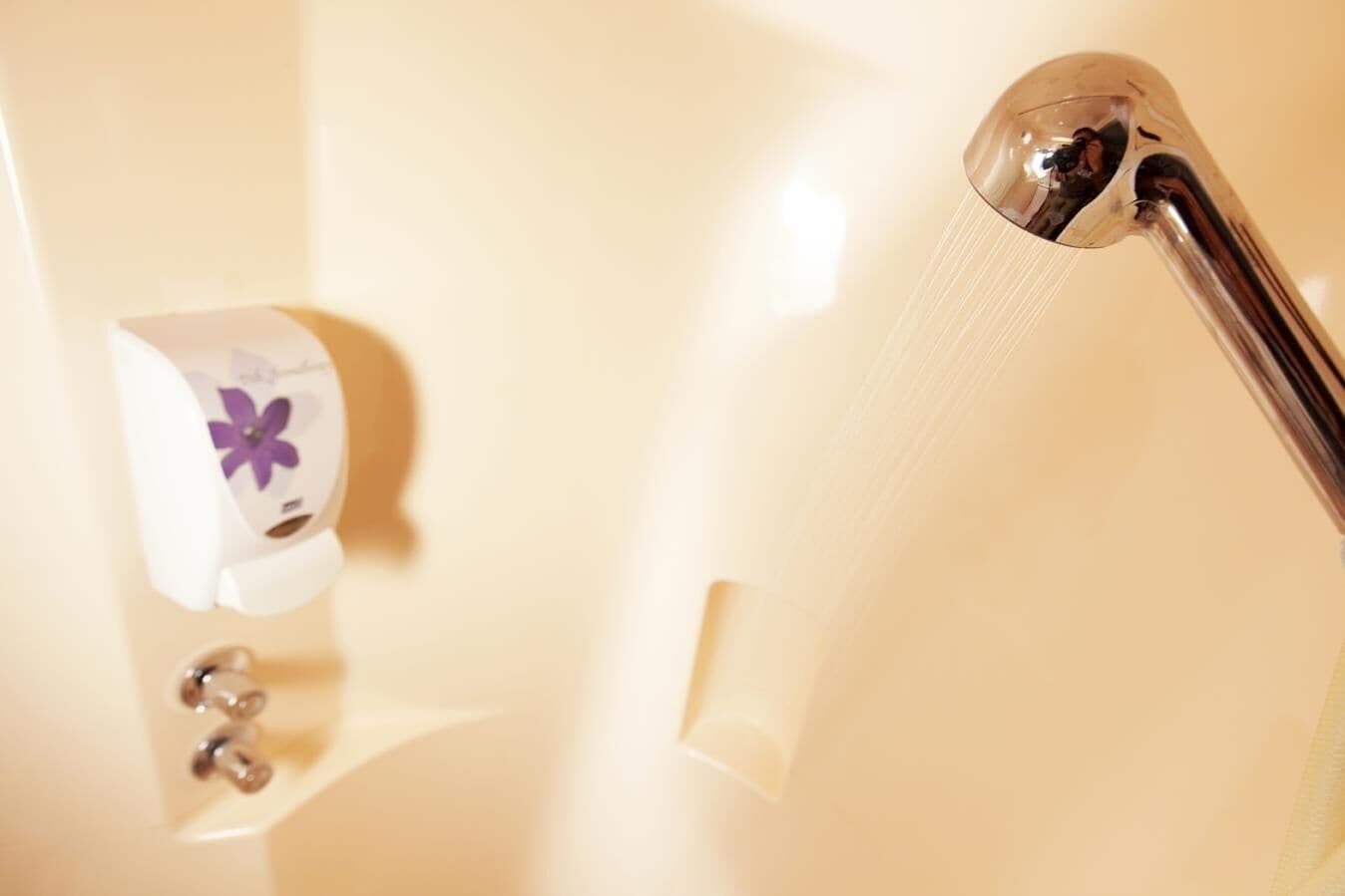 Shower, free toiletries, towels