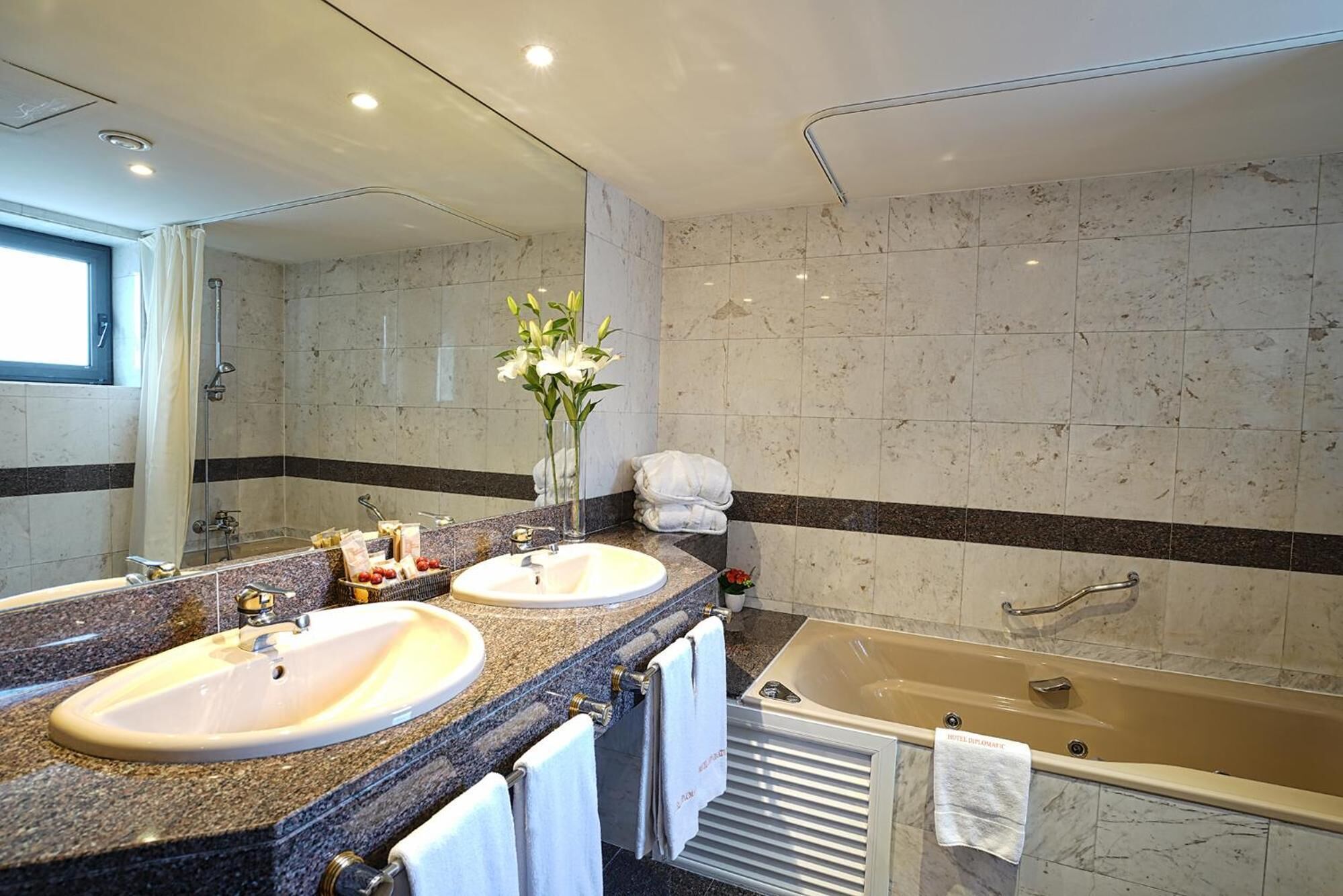 Hotel Zenit Diplomatic