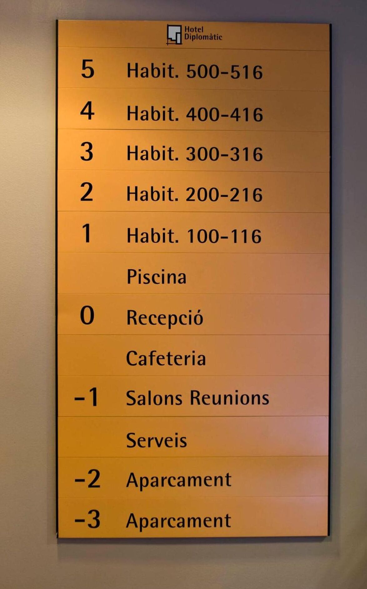 Foto - Zenit Diplomatic