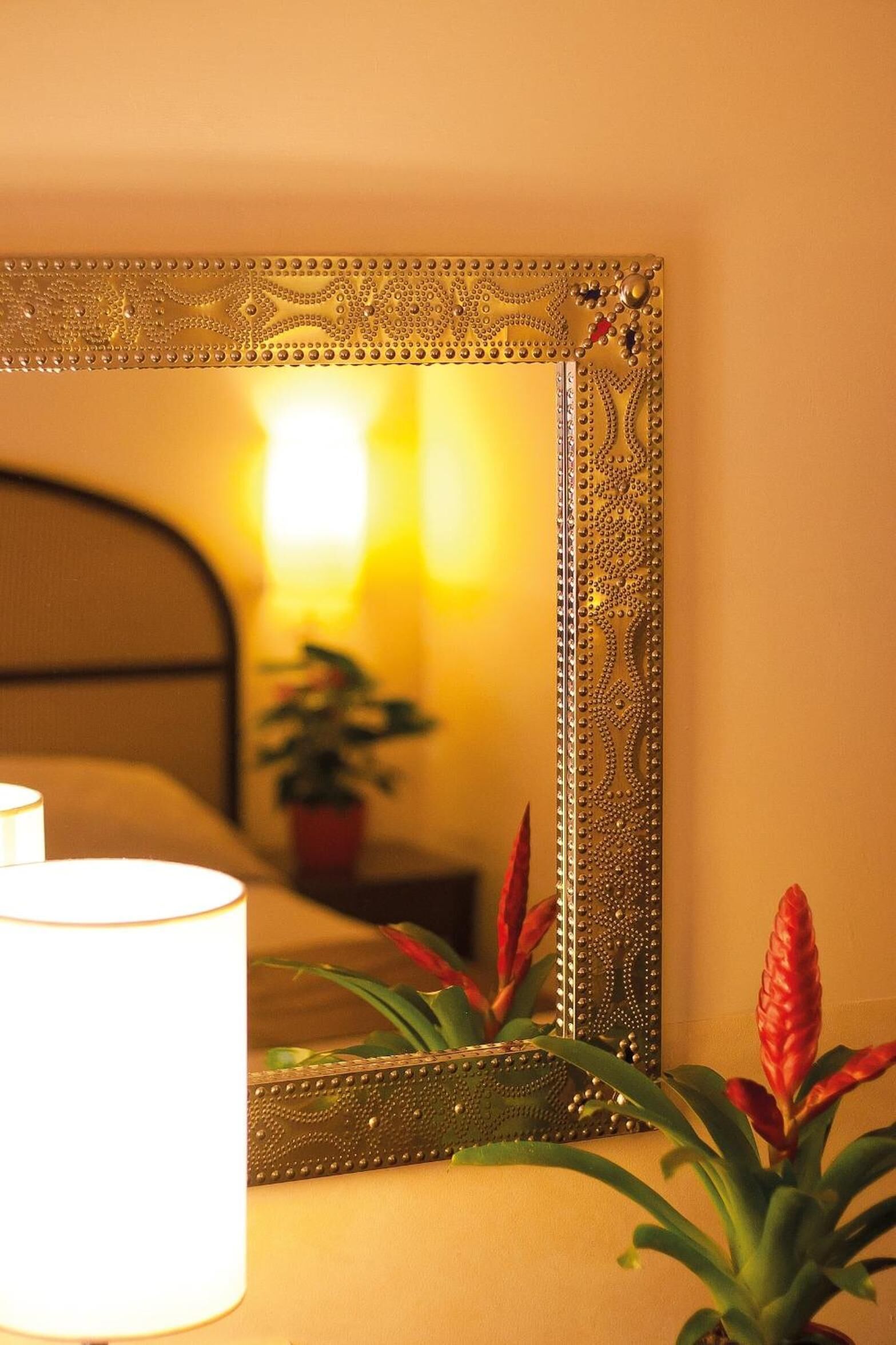 A mirror with an ornate frame, a bedside lamp, and a potted plant with red leaves.