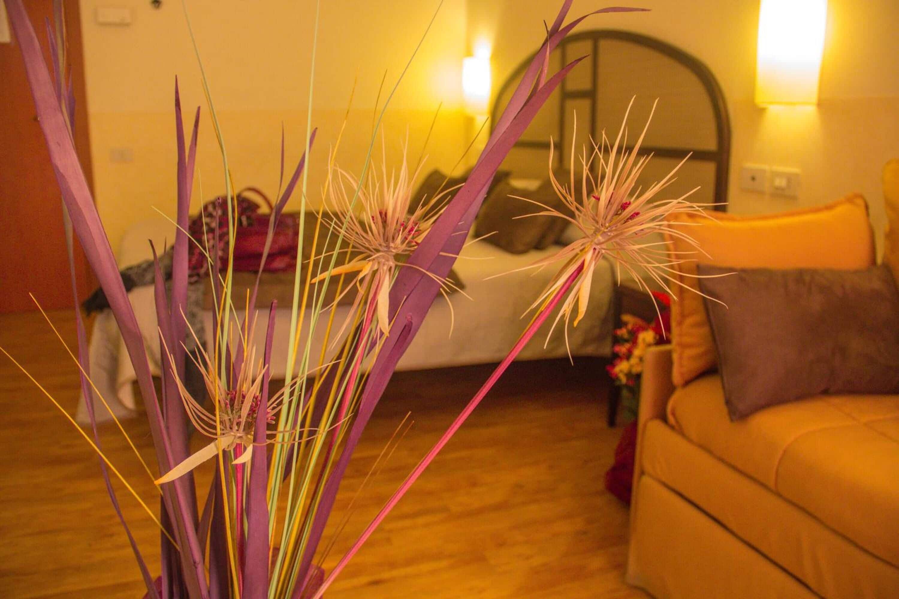 Foto - Hotel Novecento