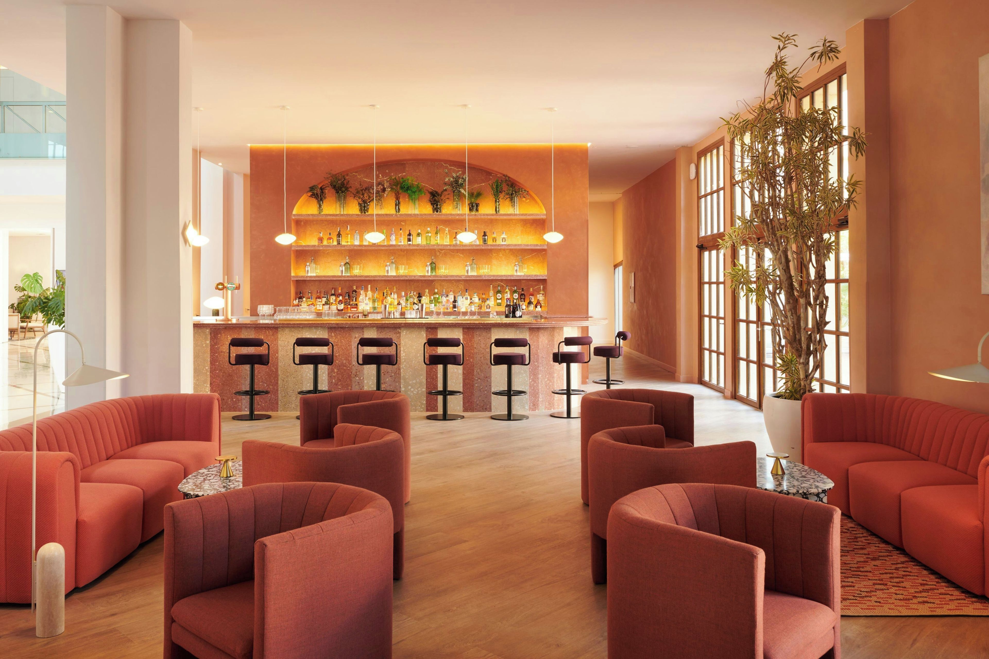 Een bar met een lange toonbank, meerdere krukken en een grote potplant.