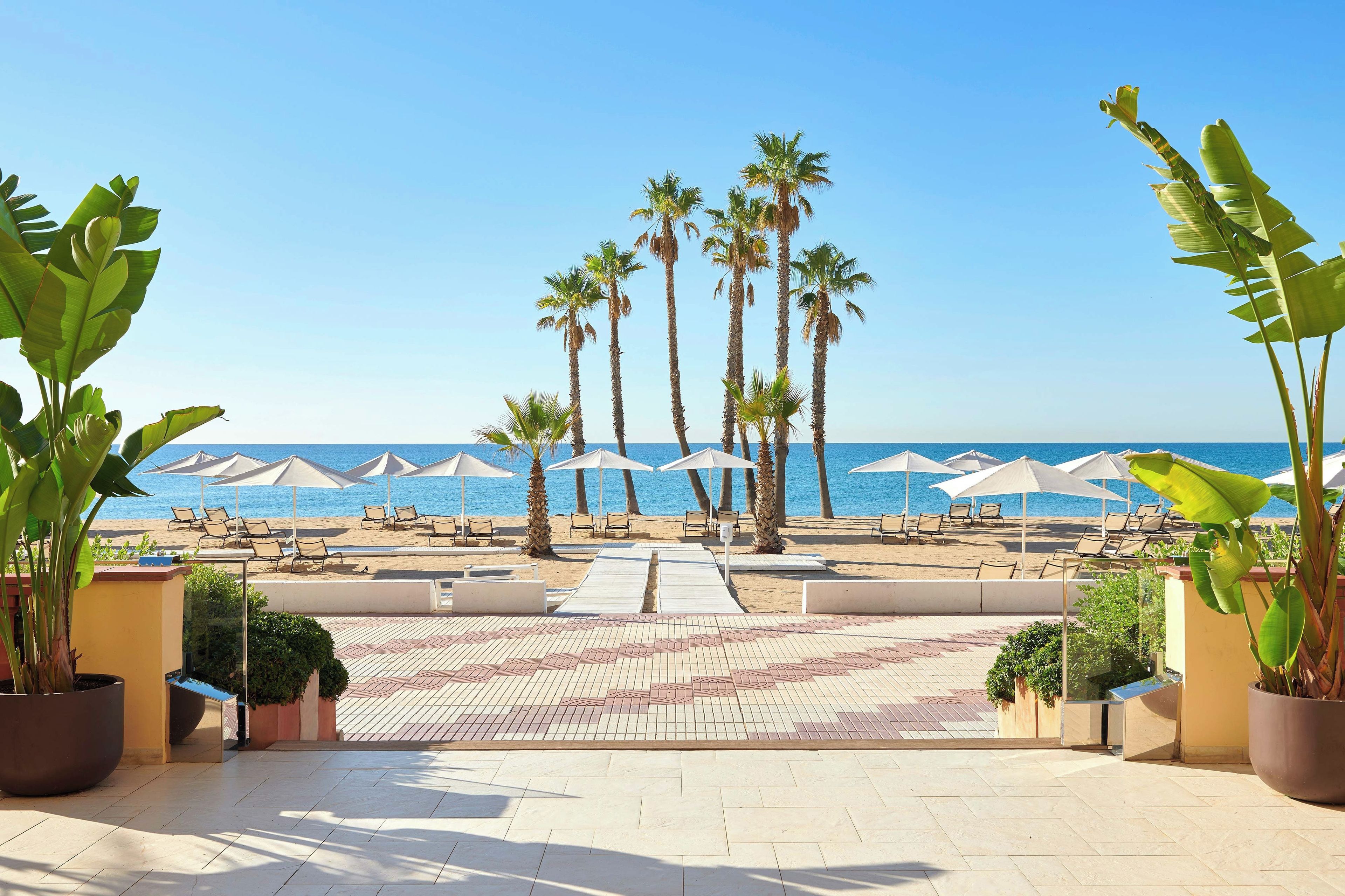Un resort frente a la playa con palmeras, sillas de playa, sombrillas y una vista despejada del océano.