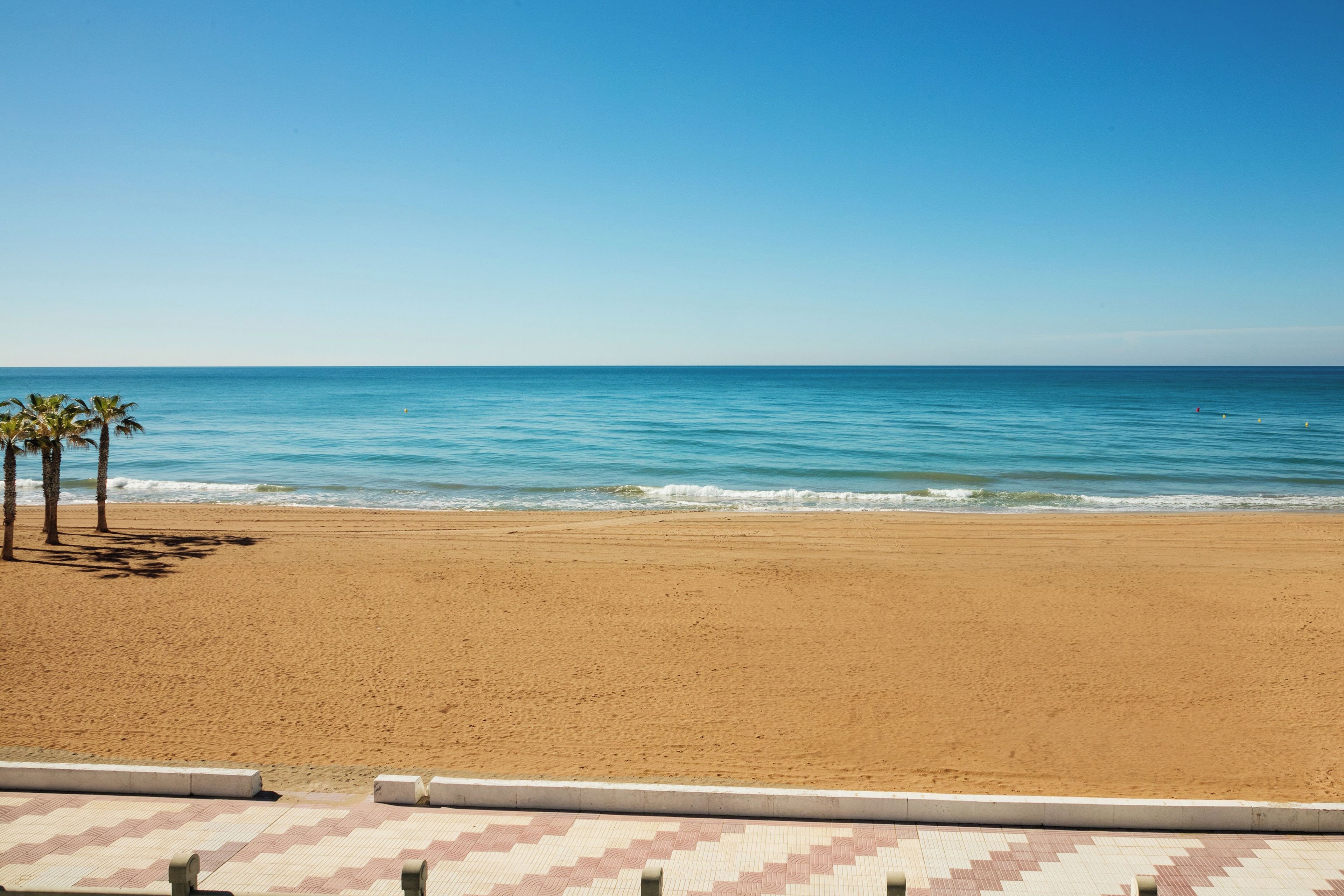 A beach with a clear sky, calm sea, and palm trees.
