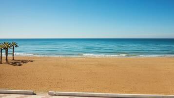 A beach with a clear sky, calm sea, and palm trees.