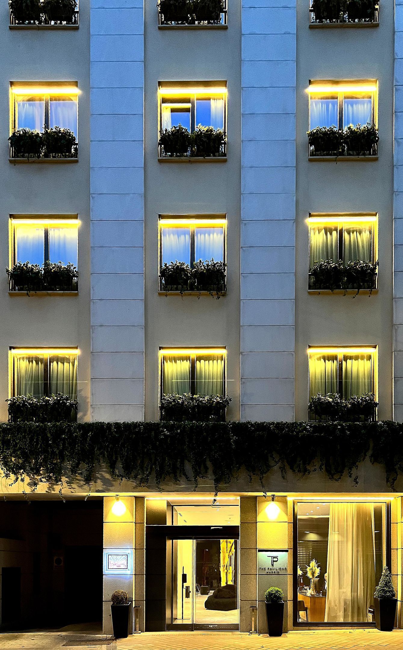 Facciata di un hotel con diverse finestre, ciascuna dotata di tende e piante. L'ingresso presenta una porta in vetro e un cartello con la scritta 'The Pavilion Madrid'.