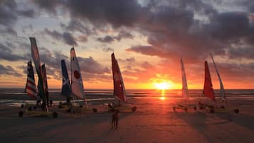 Una spiaggia con diverse barche a vela e un cane sulla sabbia al tramonto.