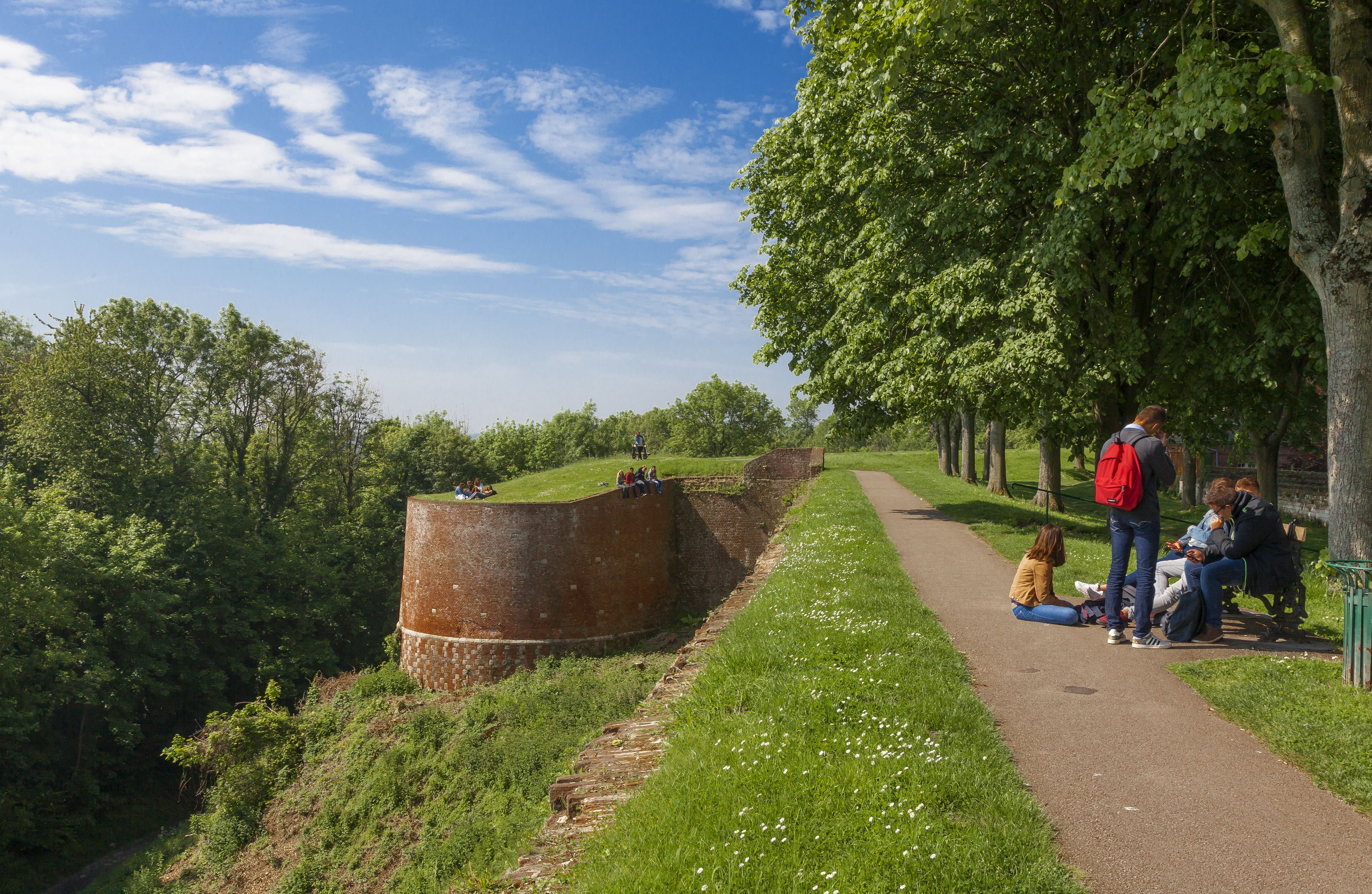 A park with a grassy mound, a pathway, and people sitting on benches.