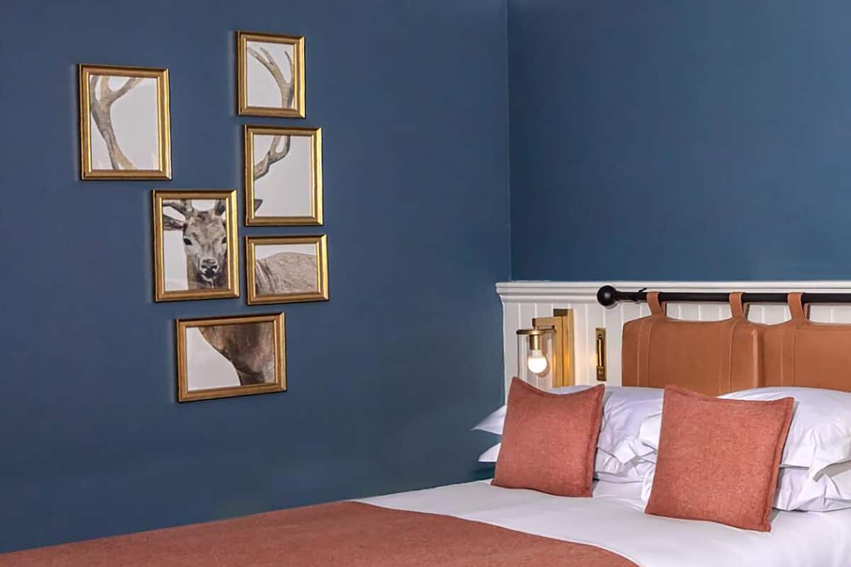 Une chambre à coucher avec un lit, une tête de lit et des tableaux accrochés au mur.