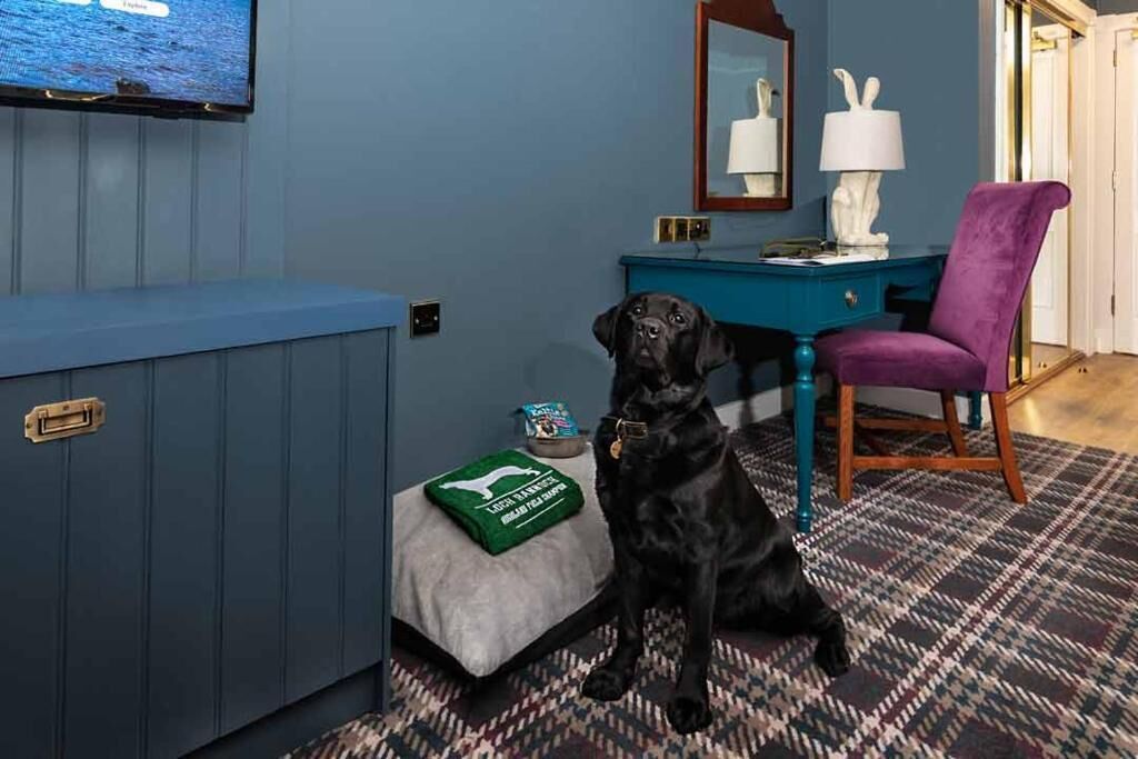 pet-friendly amenities