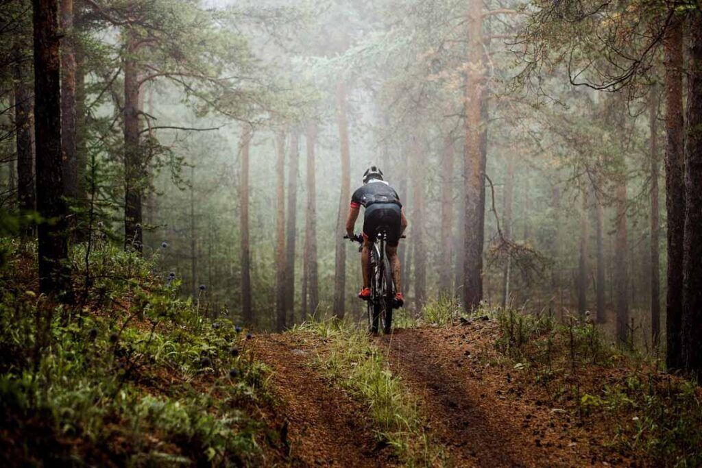 A forest trail with a cyclist.