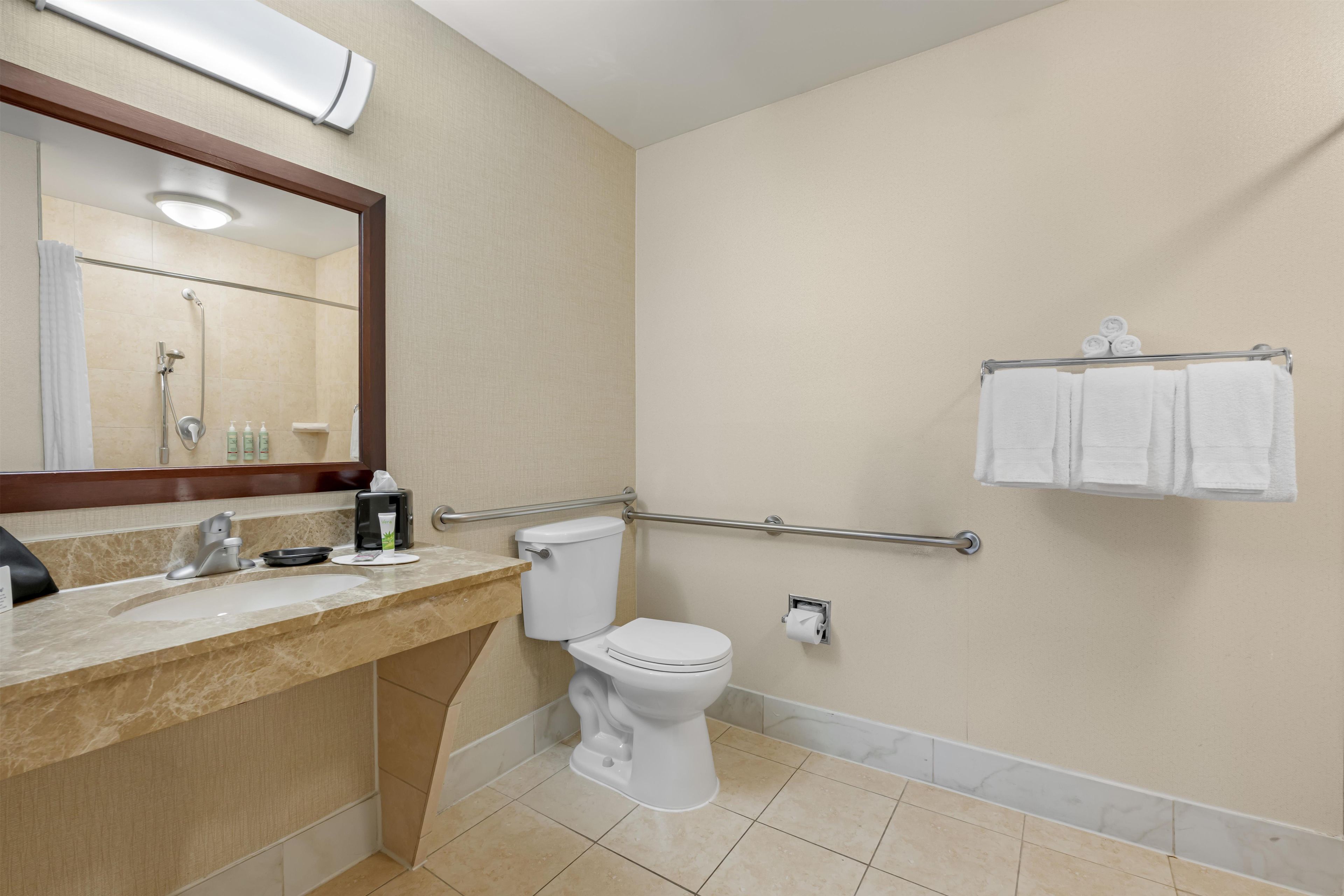 Un baño con inodoro, lavamanos, espejo, ducha y toallero.