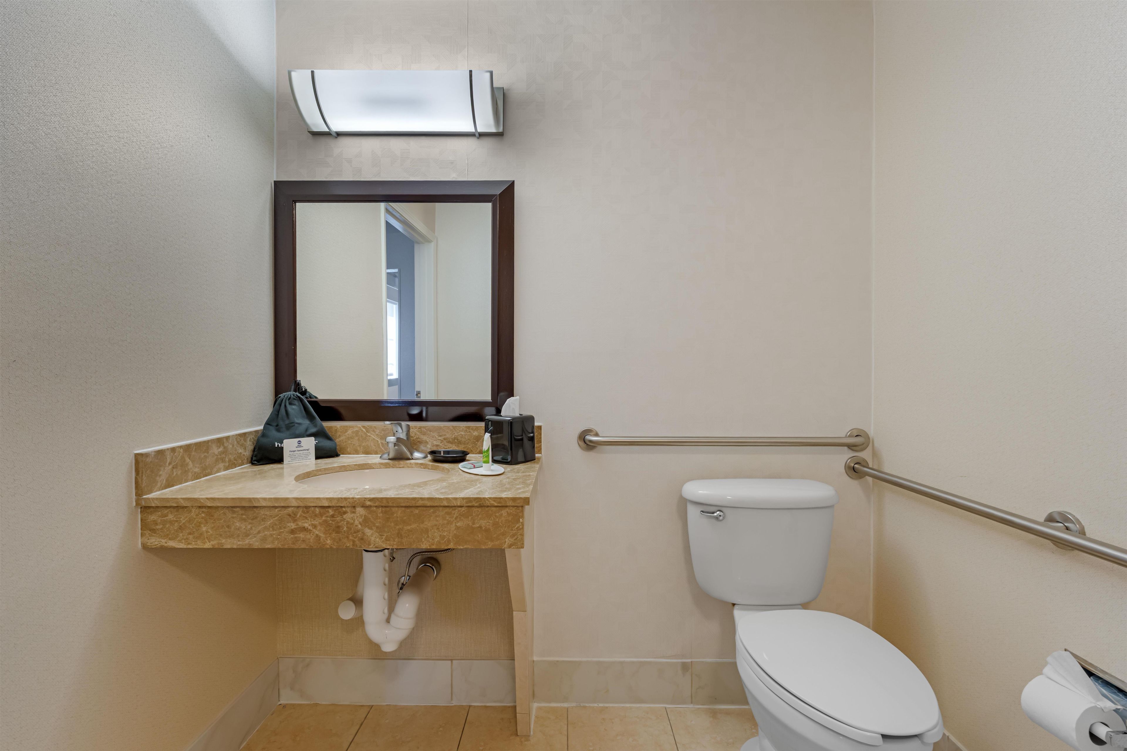Une salle de bain équipée d’un lavabo, d’un miroir, de toilettes et de barres d’appui.