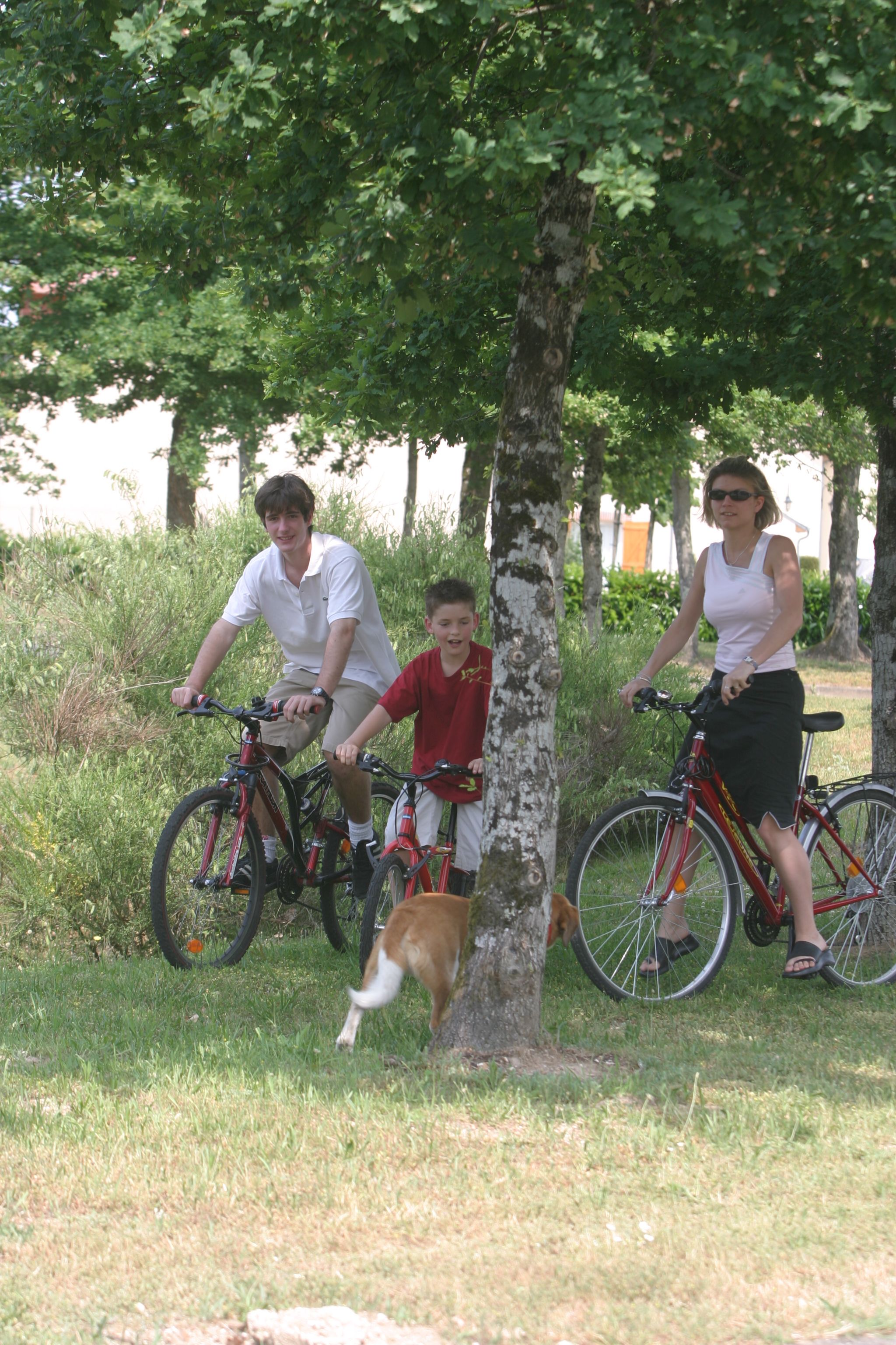 Foto - Mercure Orléans Portes de Sologne