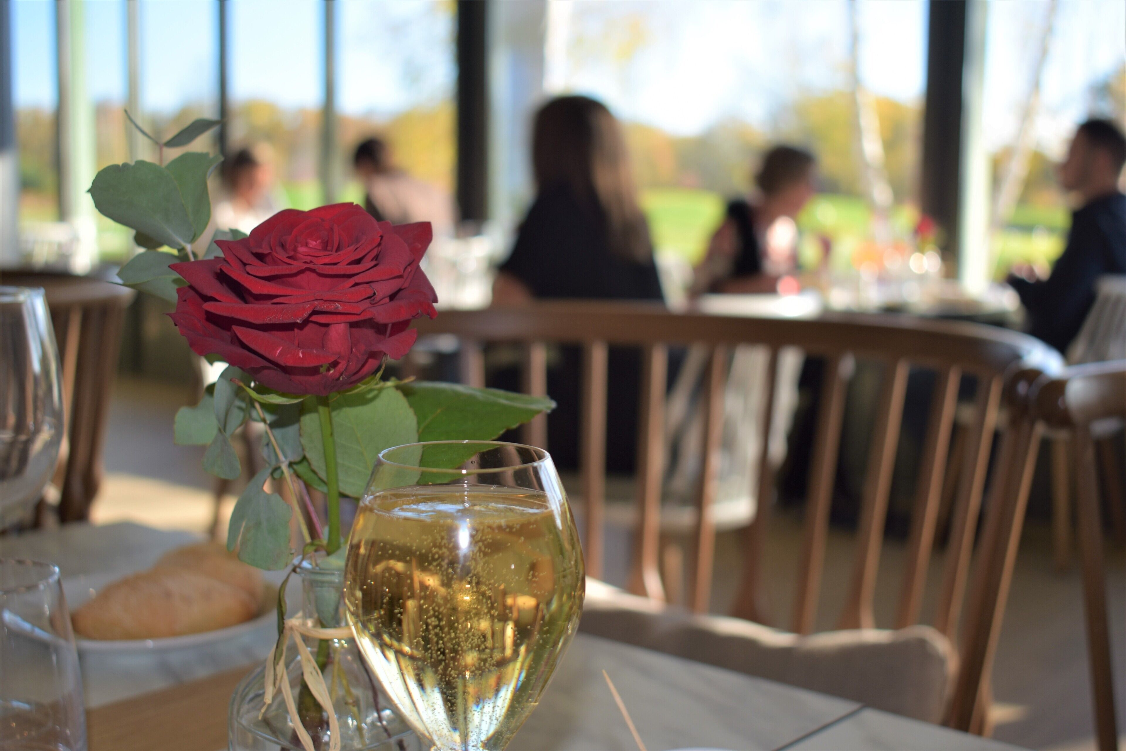 Una mesa de comedor con una copa de vino y una rosa roja.