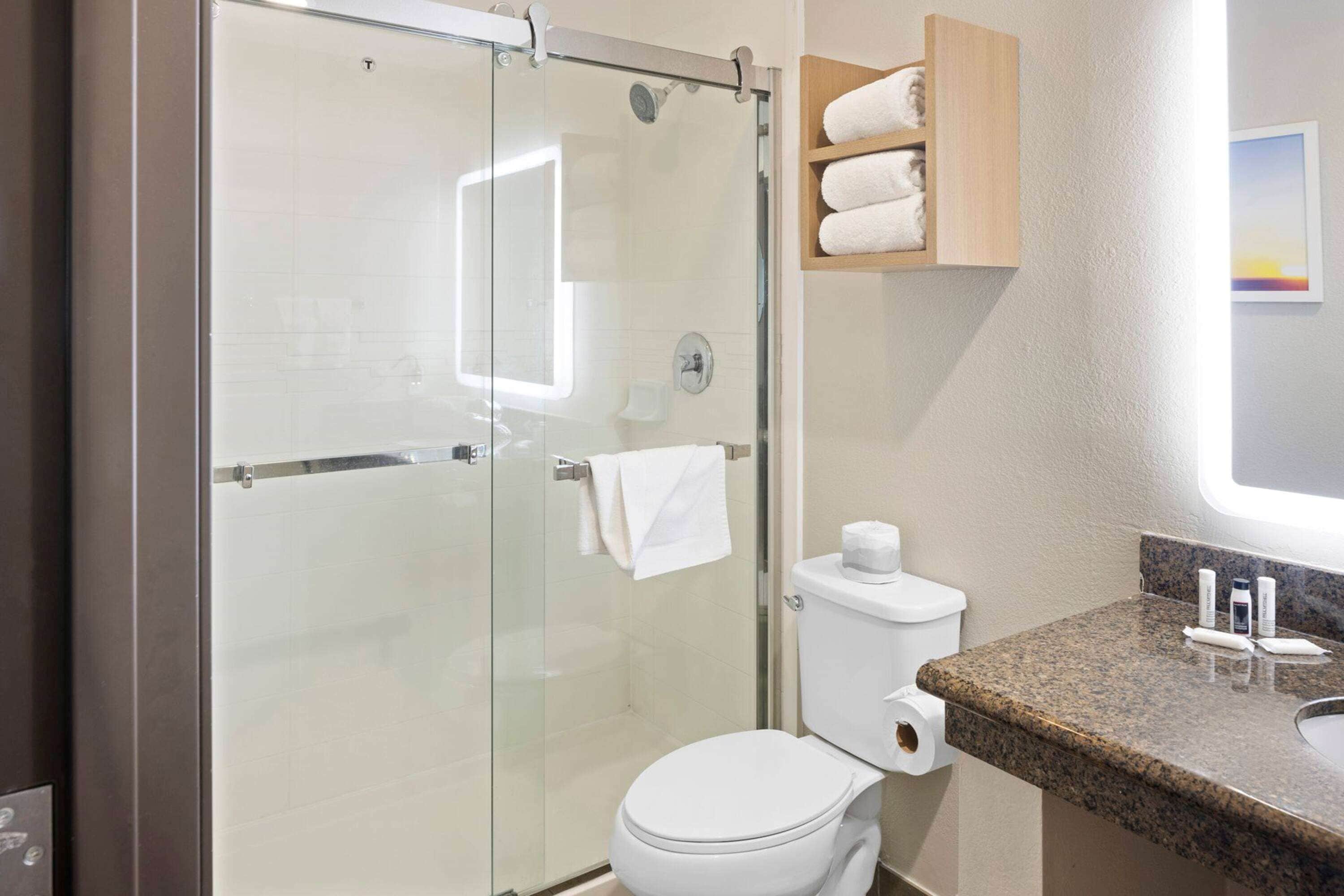 Standard Room, 1 King Bed, Smoking | Accessible bathroom