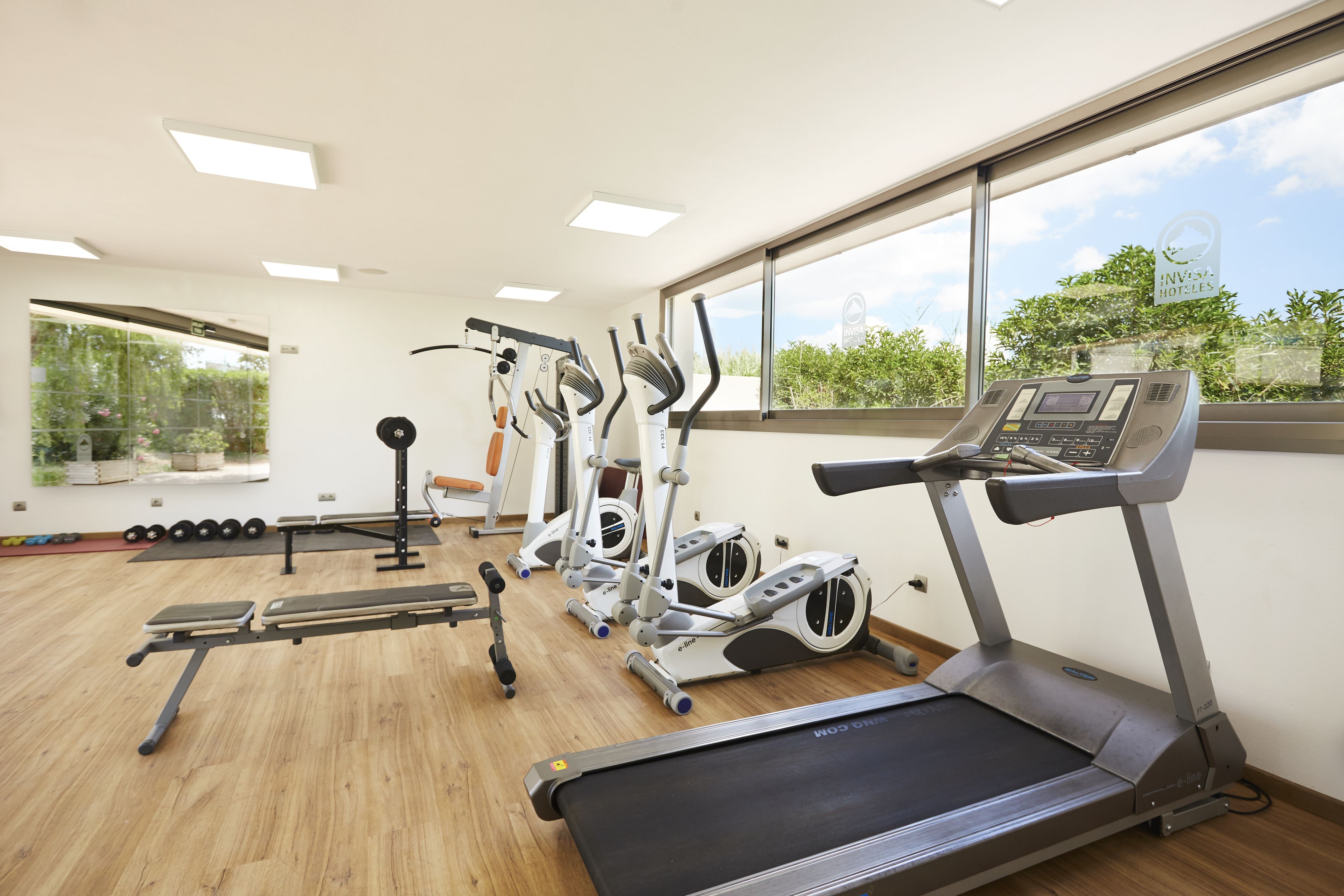 A gym with treadmills, ellipticals, and free weights.