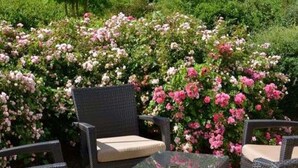Uma área de estar externa com cadeiras de vime e uma mesa de vidro, cercada por flores rosa e brancas exuberantes.