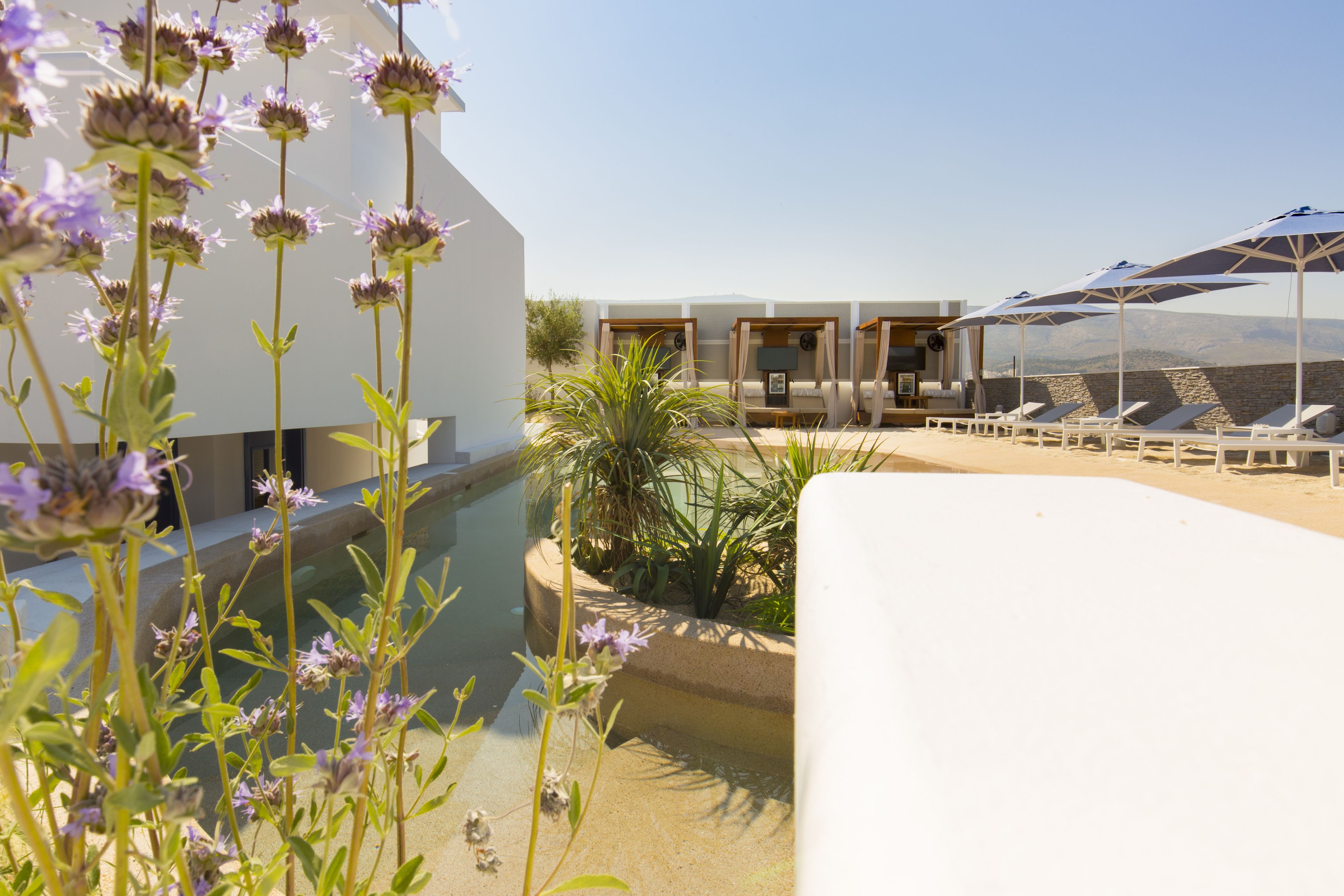 A poolside area with sun loungers and umbrellas, surrounded by plants and a clear sky.